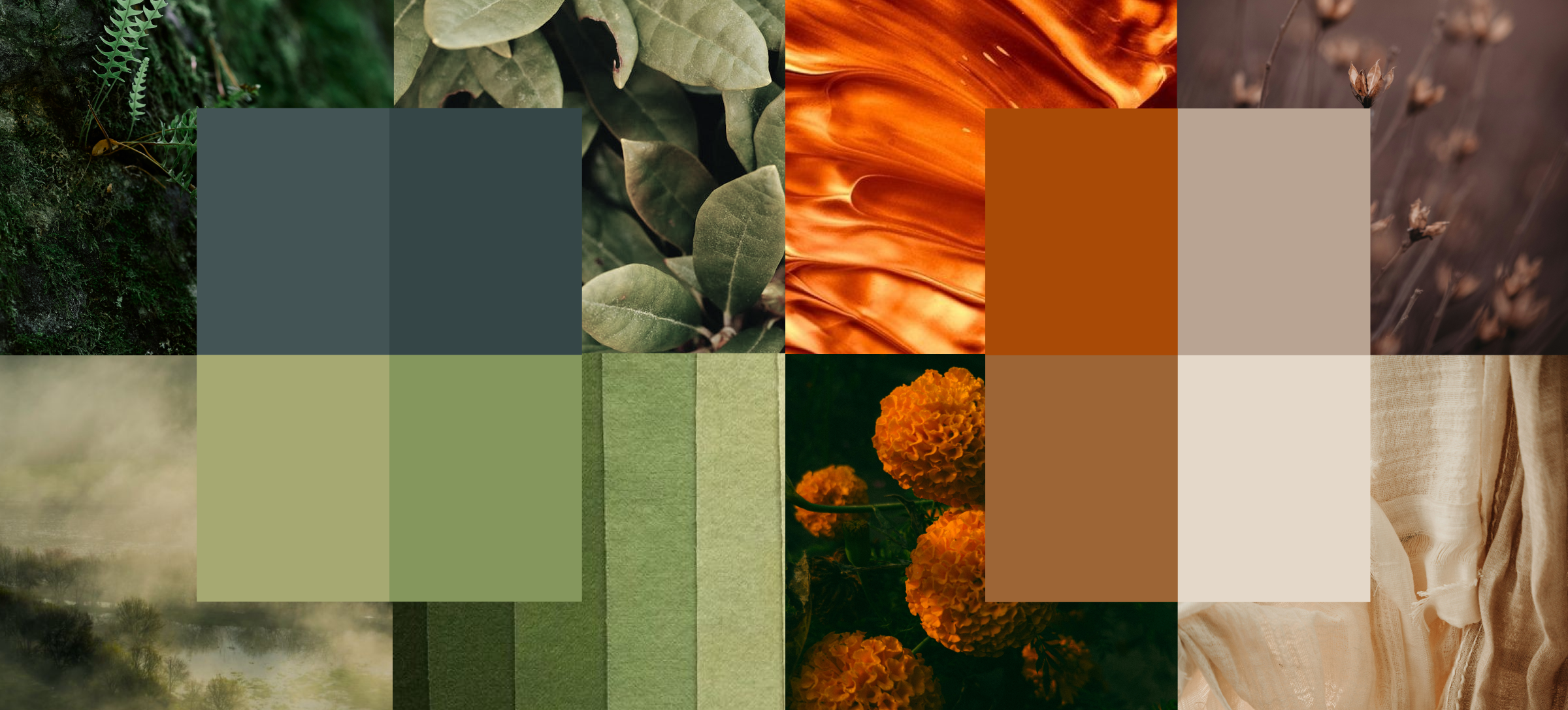 Rooted in Color, Volume 1: Amber & Alder + Soft Evergreen