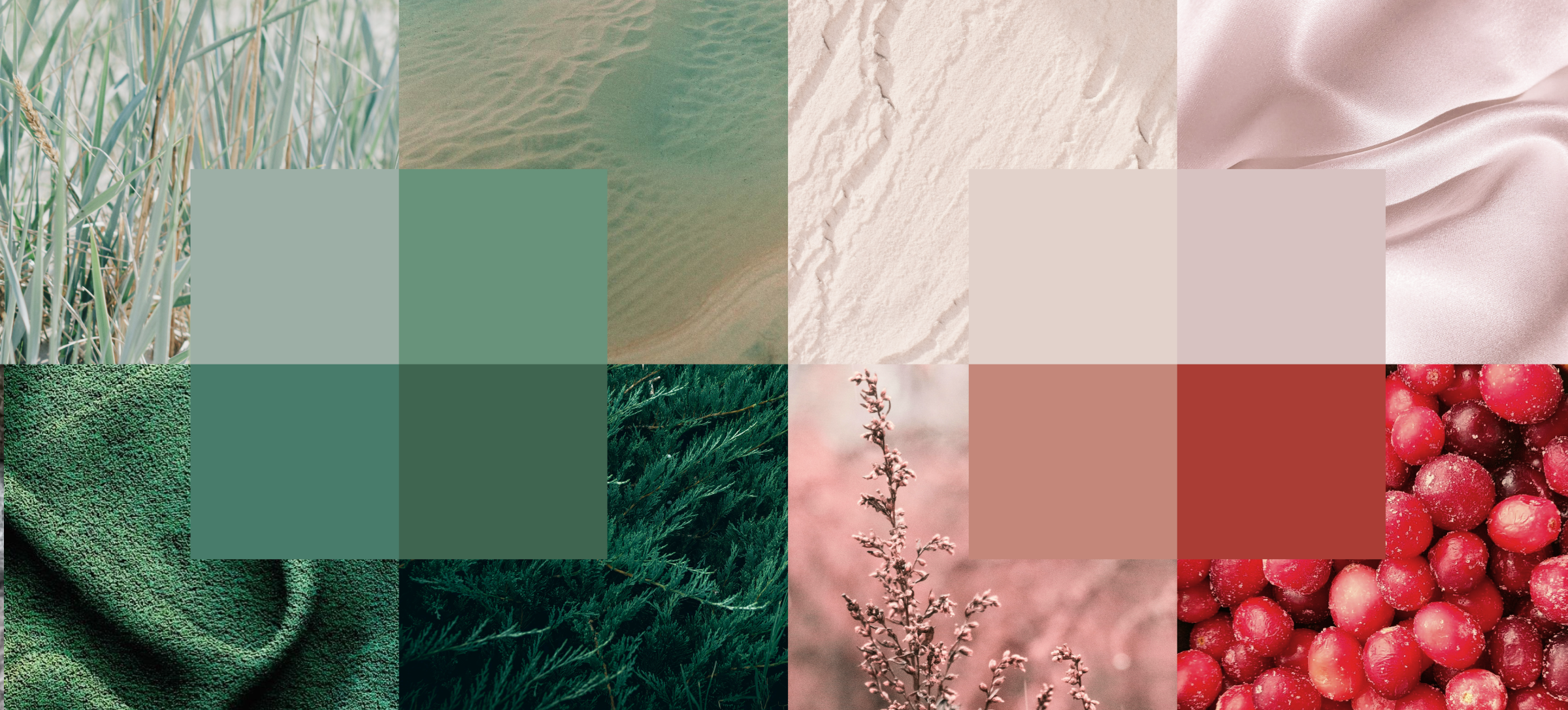 Rooted in Color Part Four - Held Light, Grounded Color