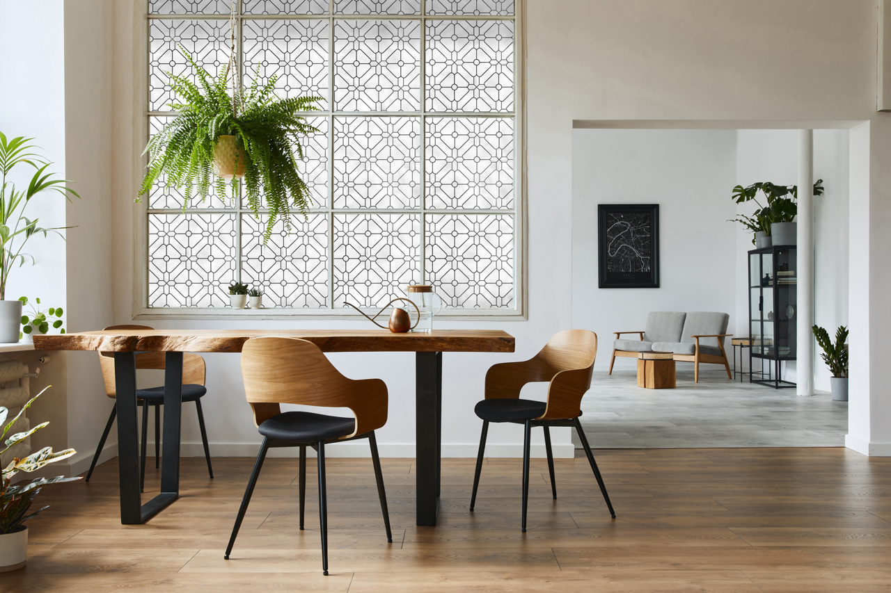 Creating Calm: How Window Films Transform Busy Spaces into Focus-Friendly Havens