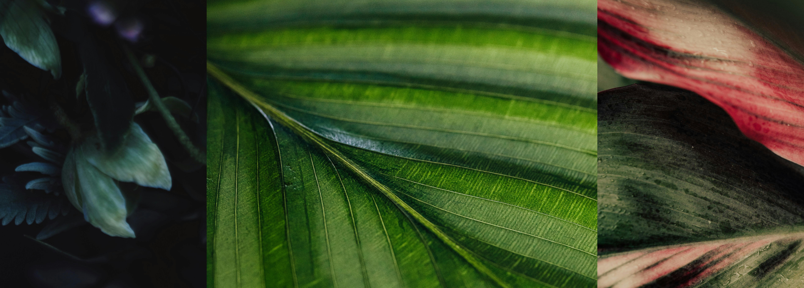 Artscape's Commitment to Environmental Stewardship