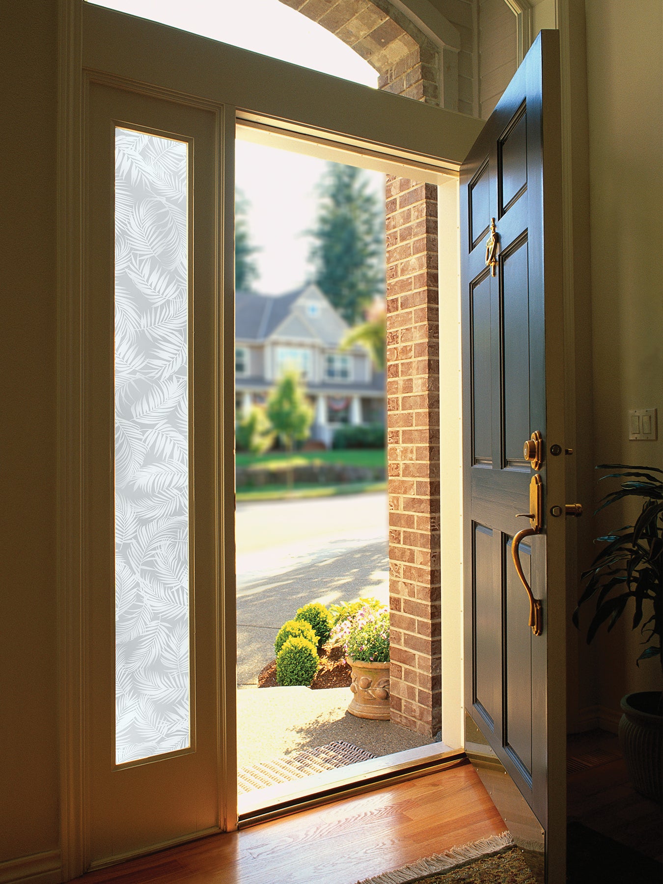 Etched Palm Sidelight