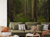 Cedarwoods