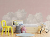 Daybreak Clouds - Rose Sky