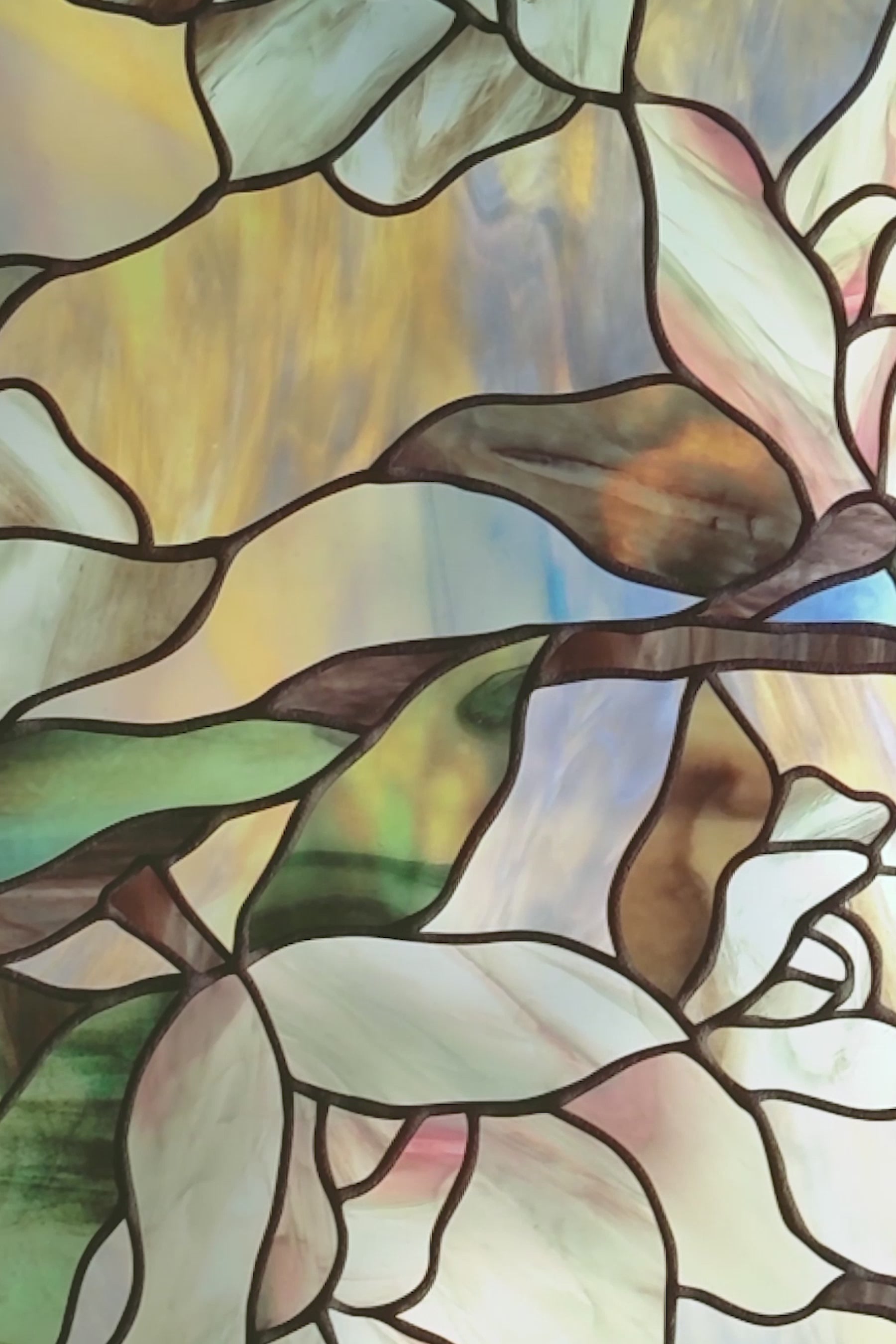 Load video: Star Magnolia