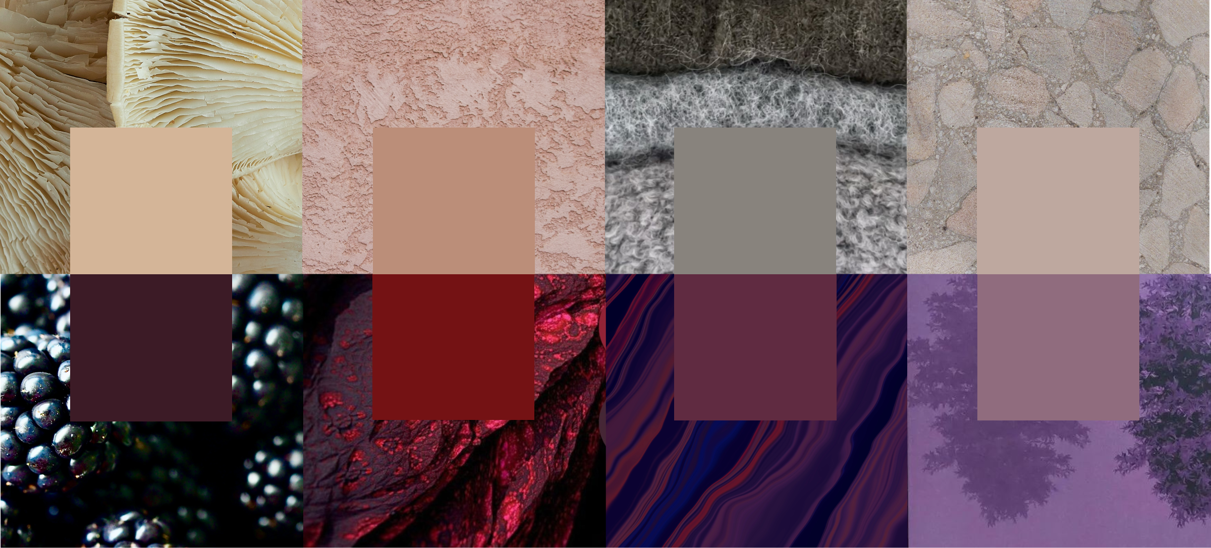 Rooted in Color: Volume 2 Conversational Palettes – Artscape Inc