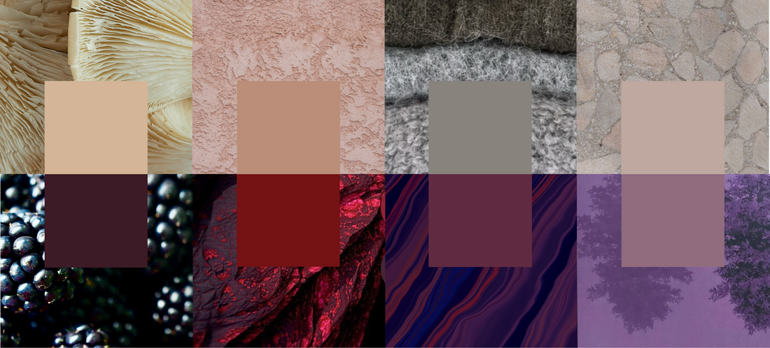 Rooted in Color: Volume 2 Conversational Palettes