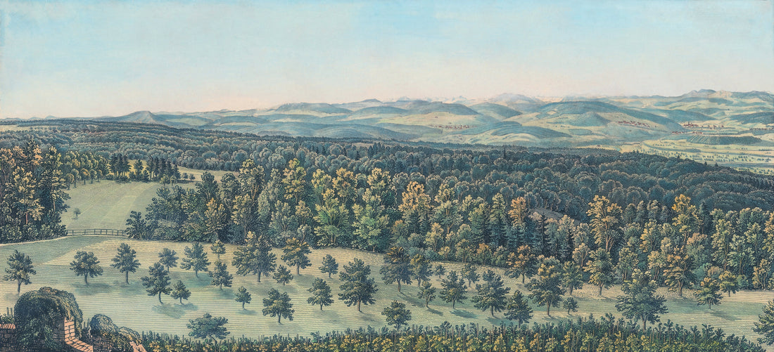 Studies in Nature: Historic Landscape Murals for Modern Interiors