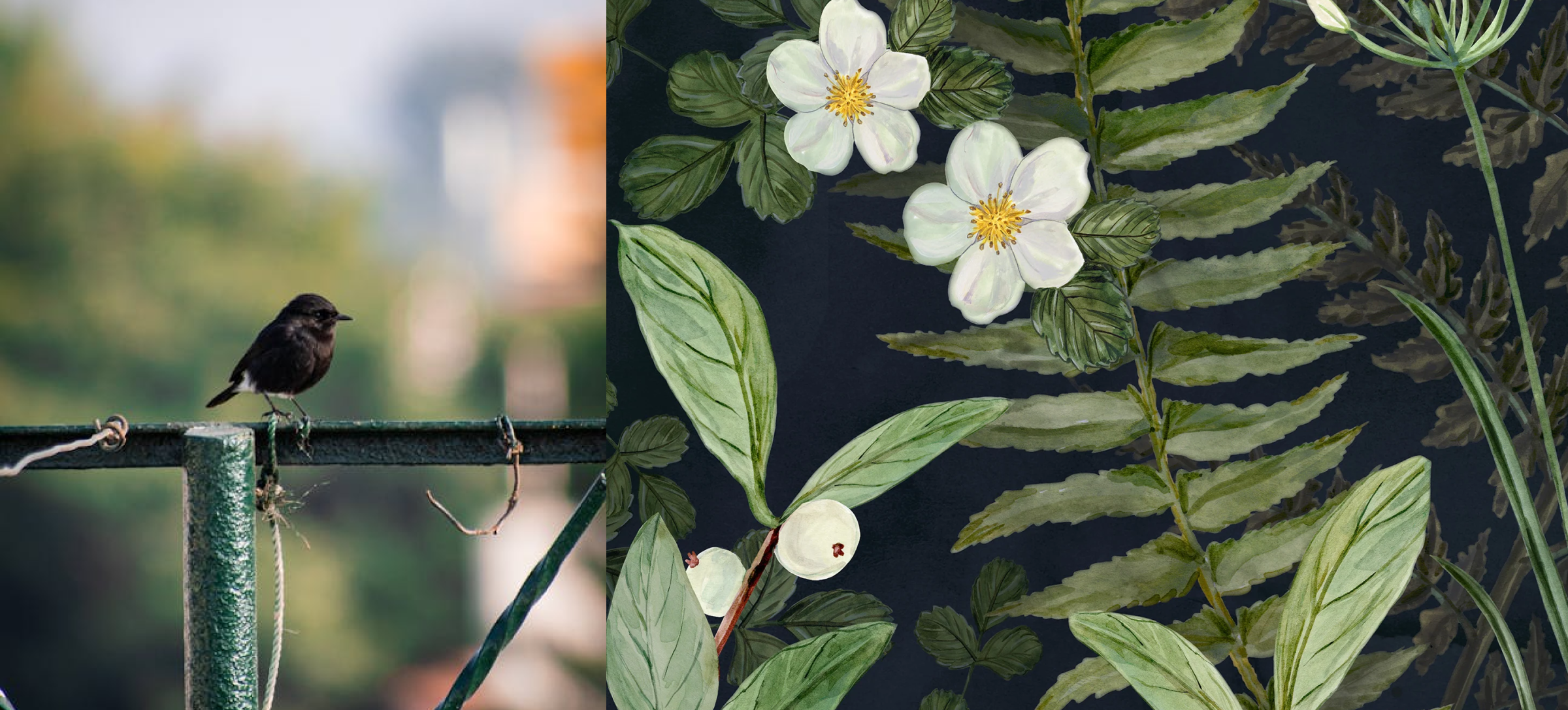 Design with Intention: How Artscape Approaches Sustainability