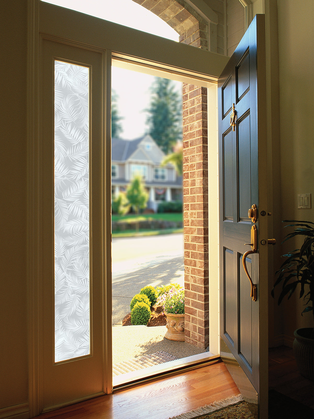 Window Flaps Etched Palm Sidelight | Window Film with Etched Frosted Glass Pattern ...