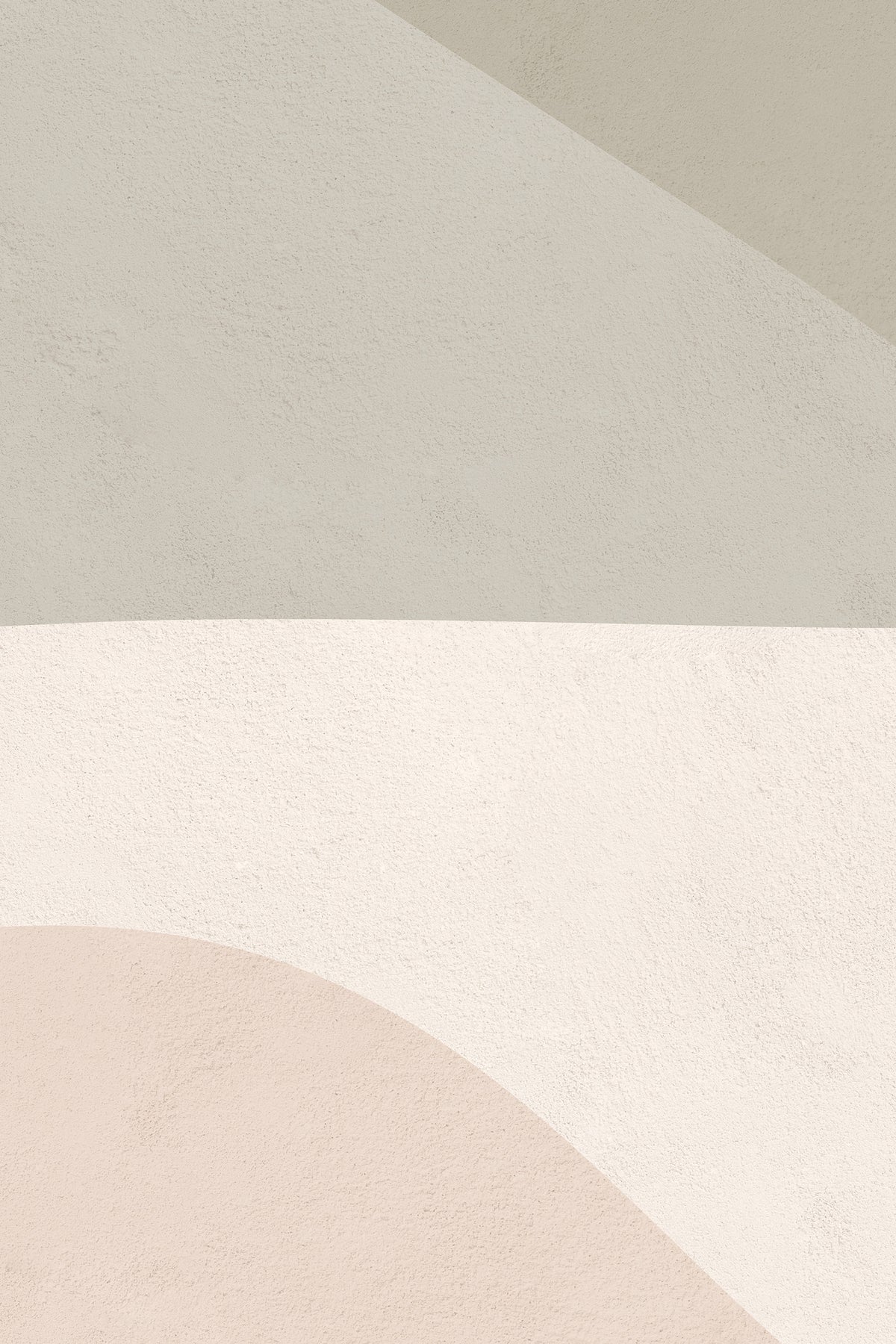 Salinas Mural Desert Rose Wallpaper Design