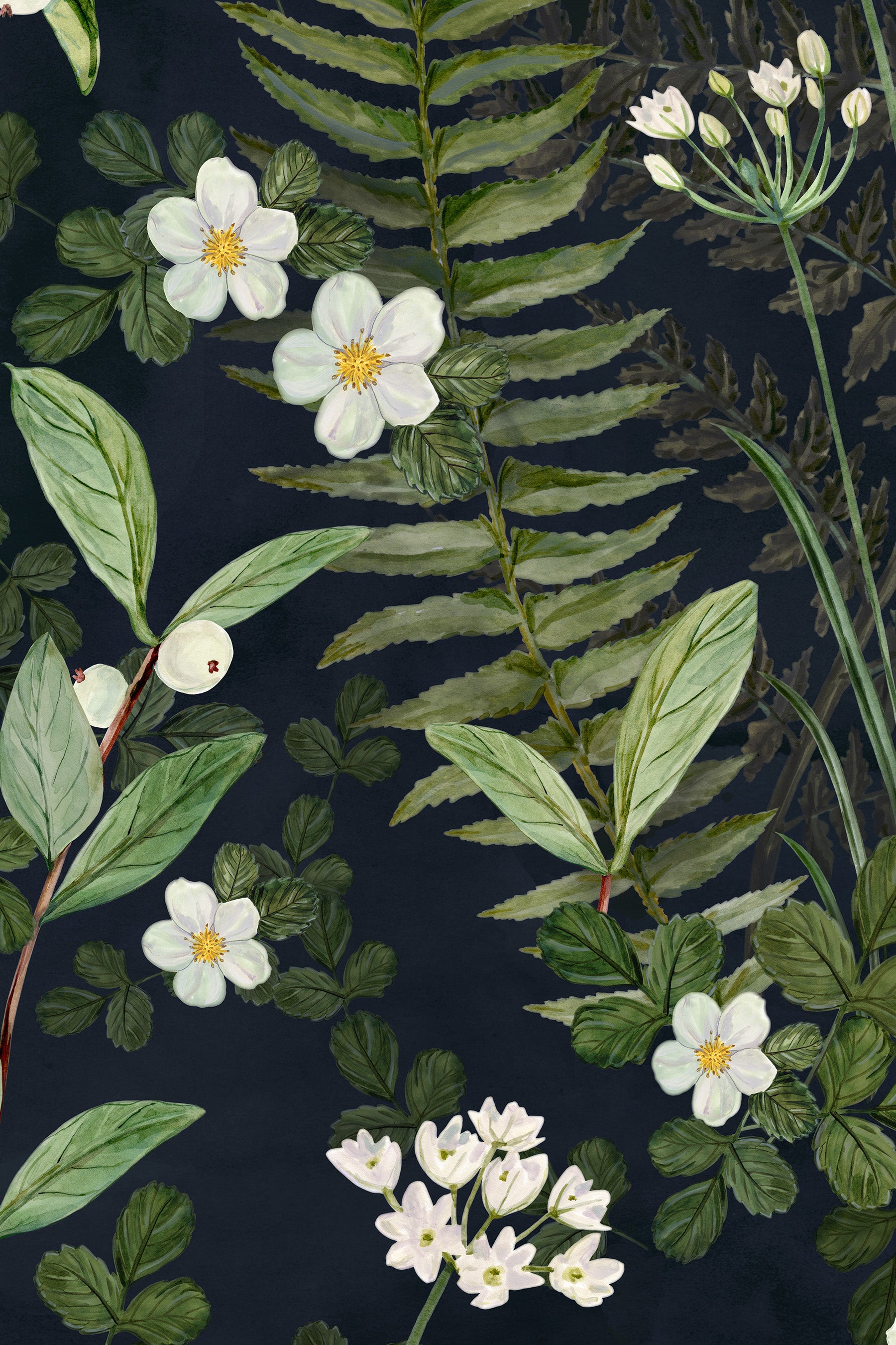Northwest Fern