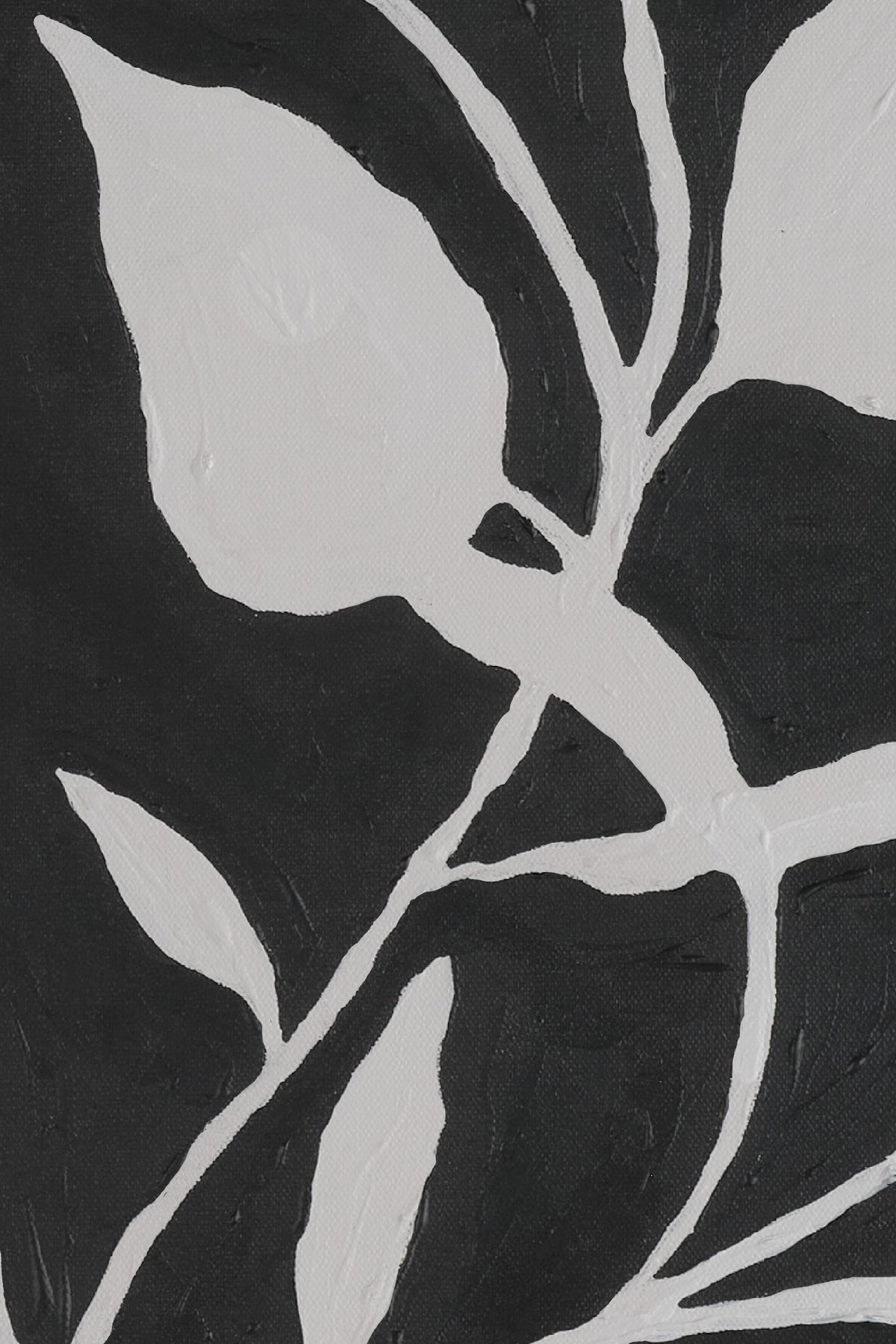 Cleo Mural Onyx Wallpaper Design