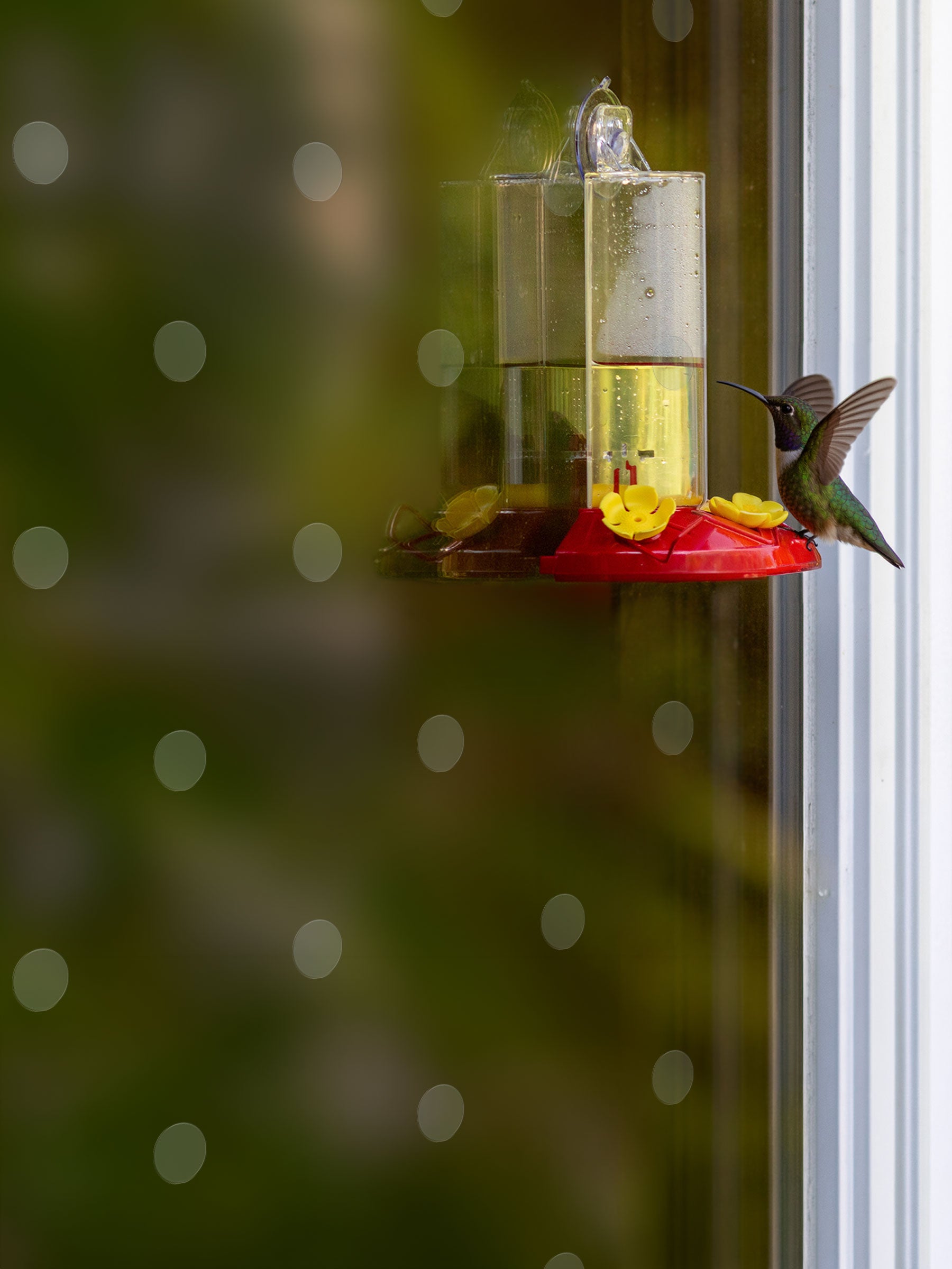 Circles Bird Deflectors