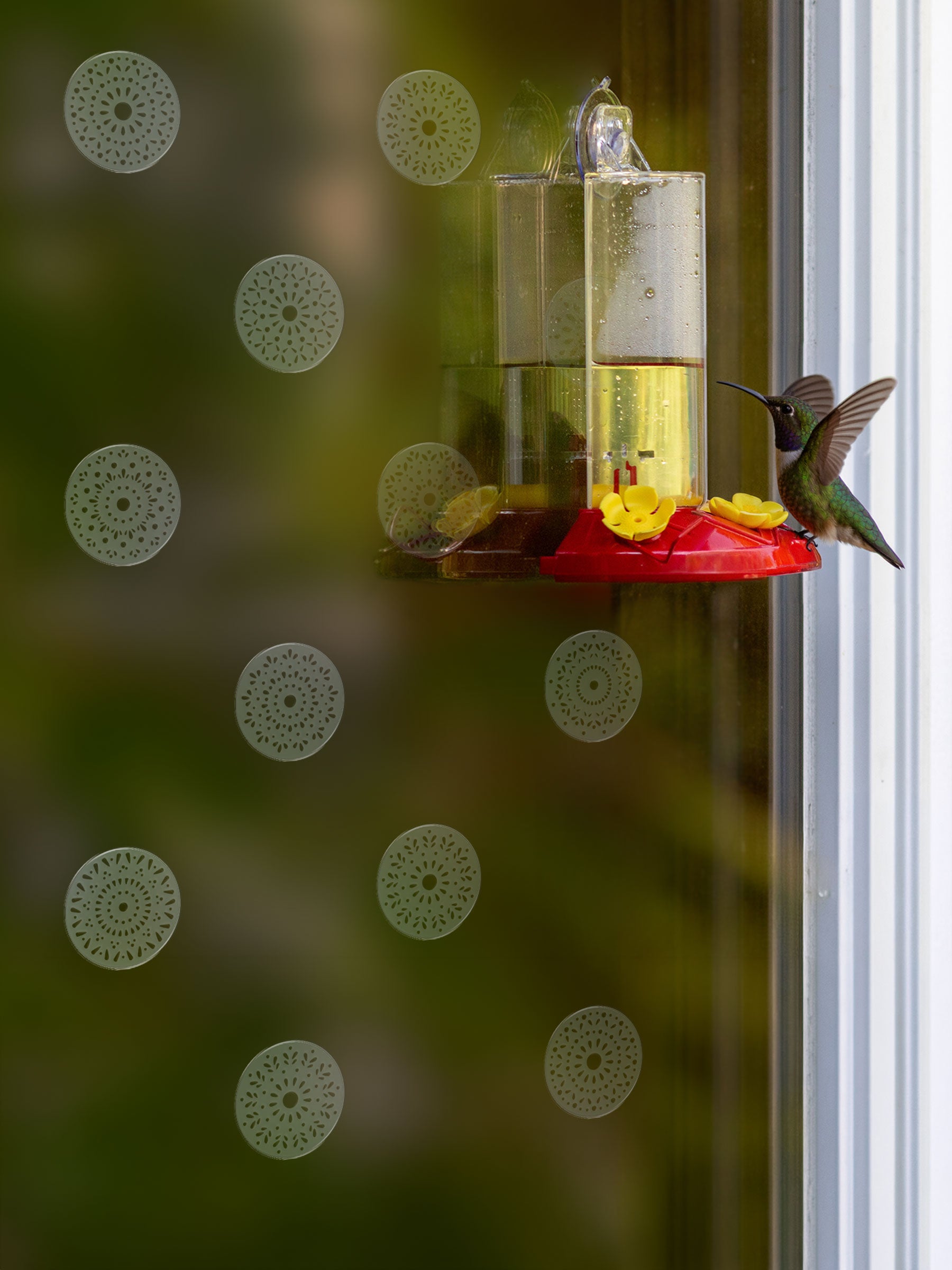 Medallions Bird Deflectors