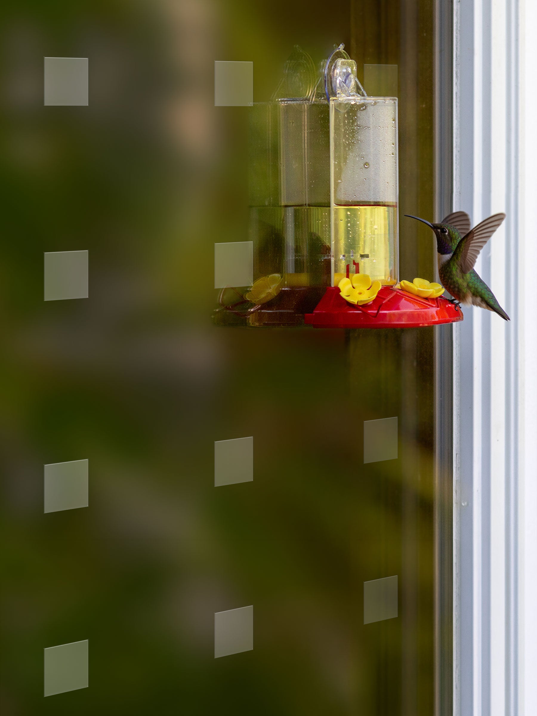 Squares Bird Deflectors