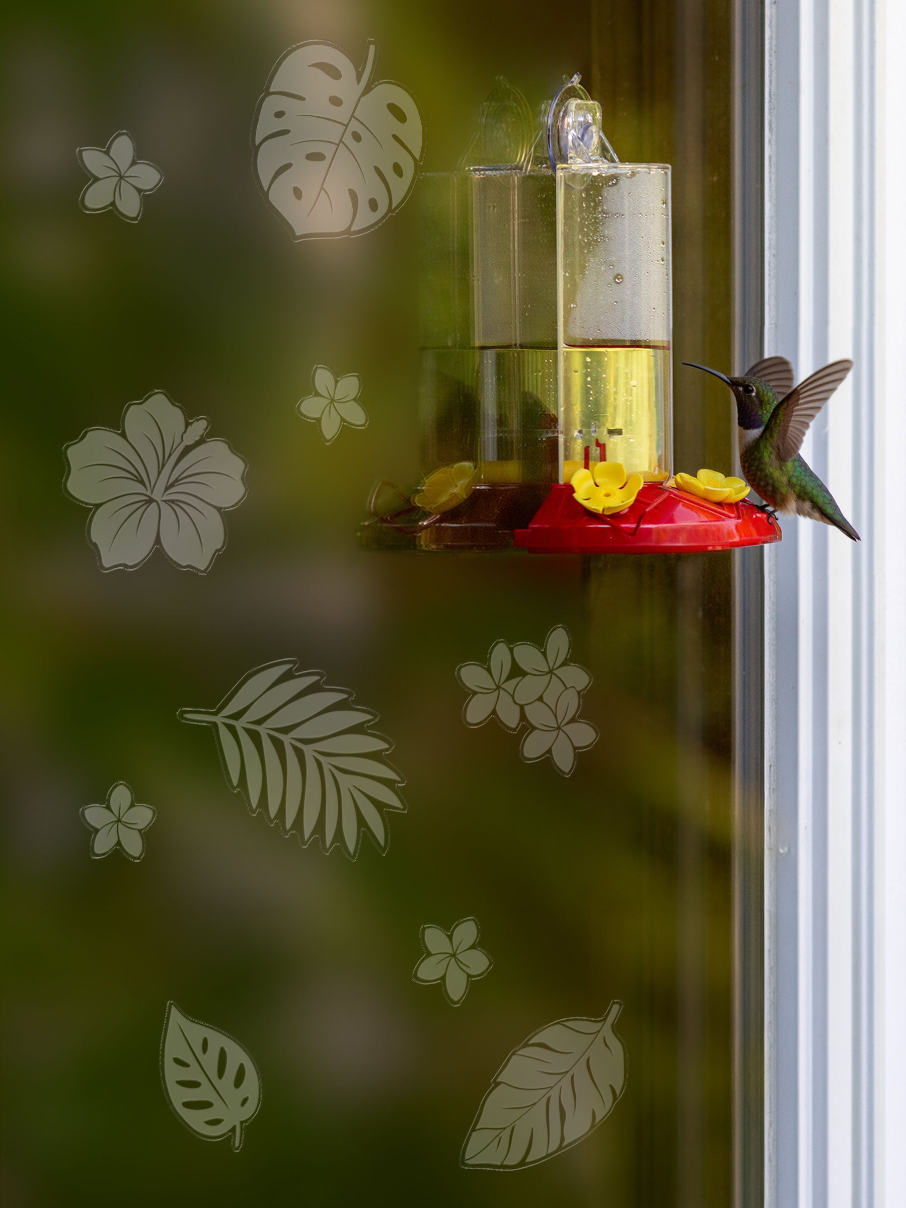 Tropical Bird Deflectors