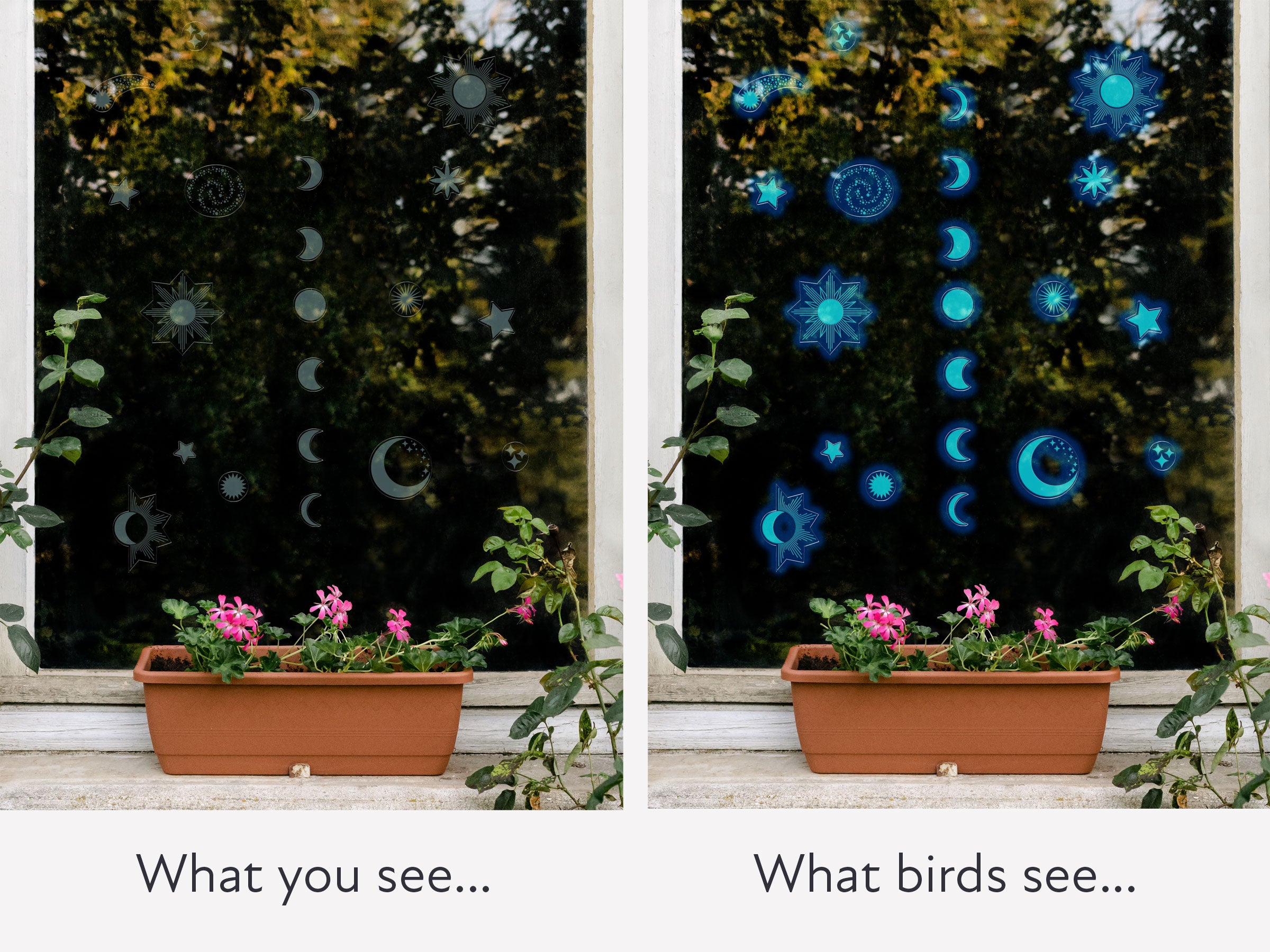 Celestial Bird Deflectors