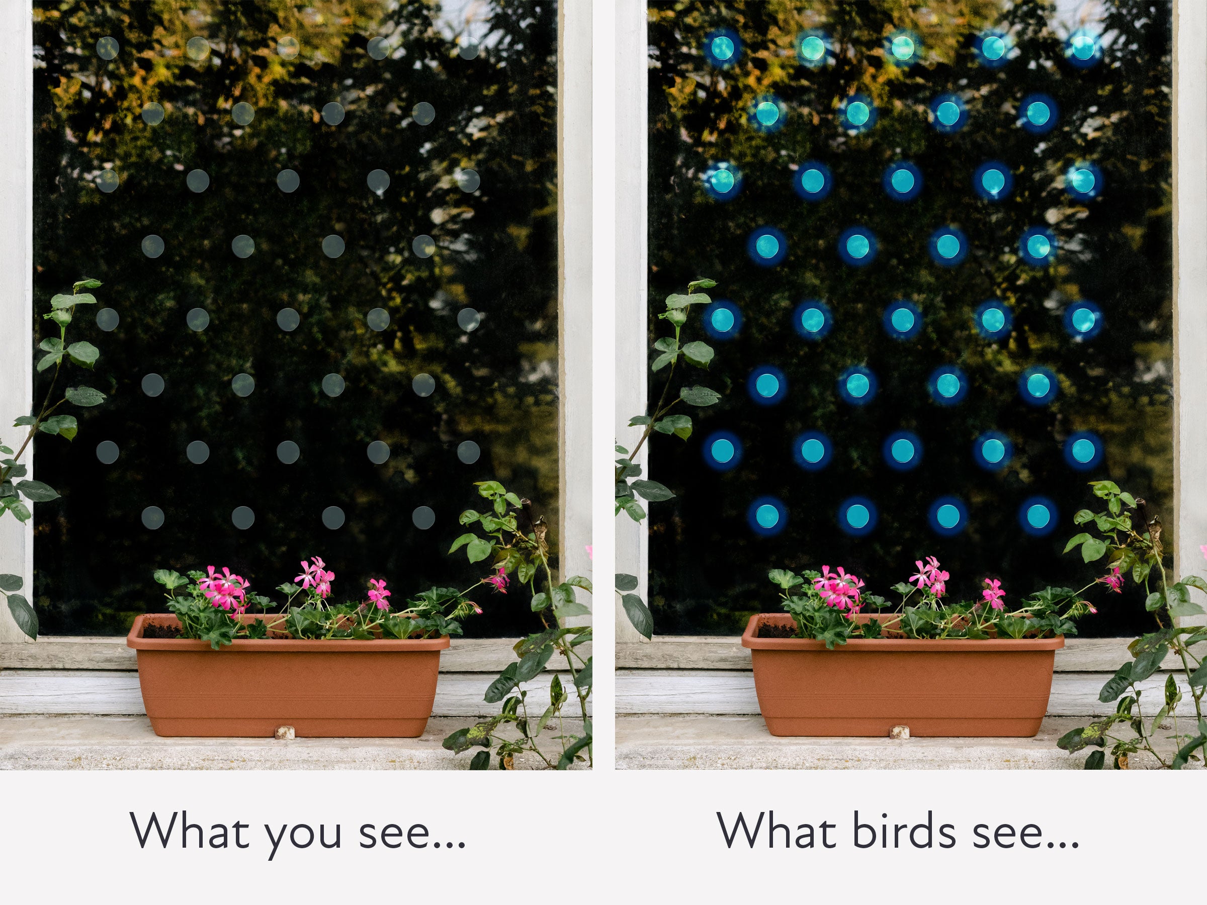 Circles Bird Deflectors