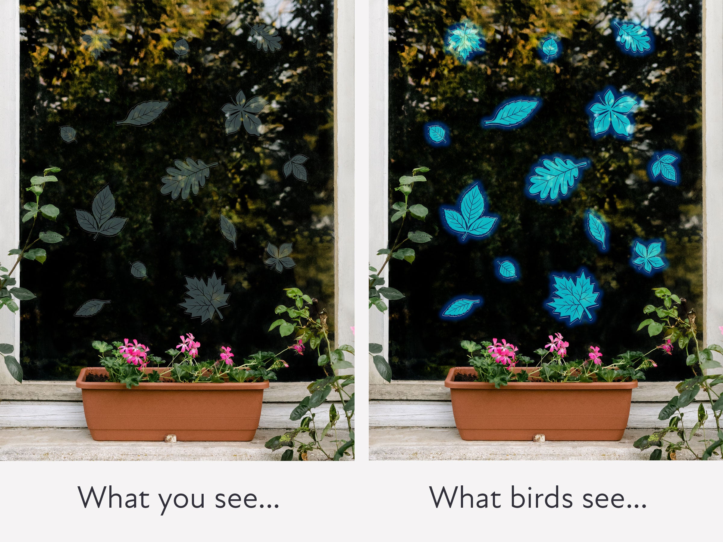 Leaves Bird Deflectors