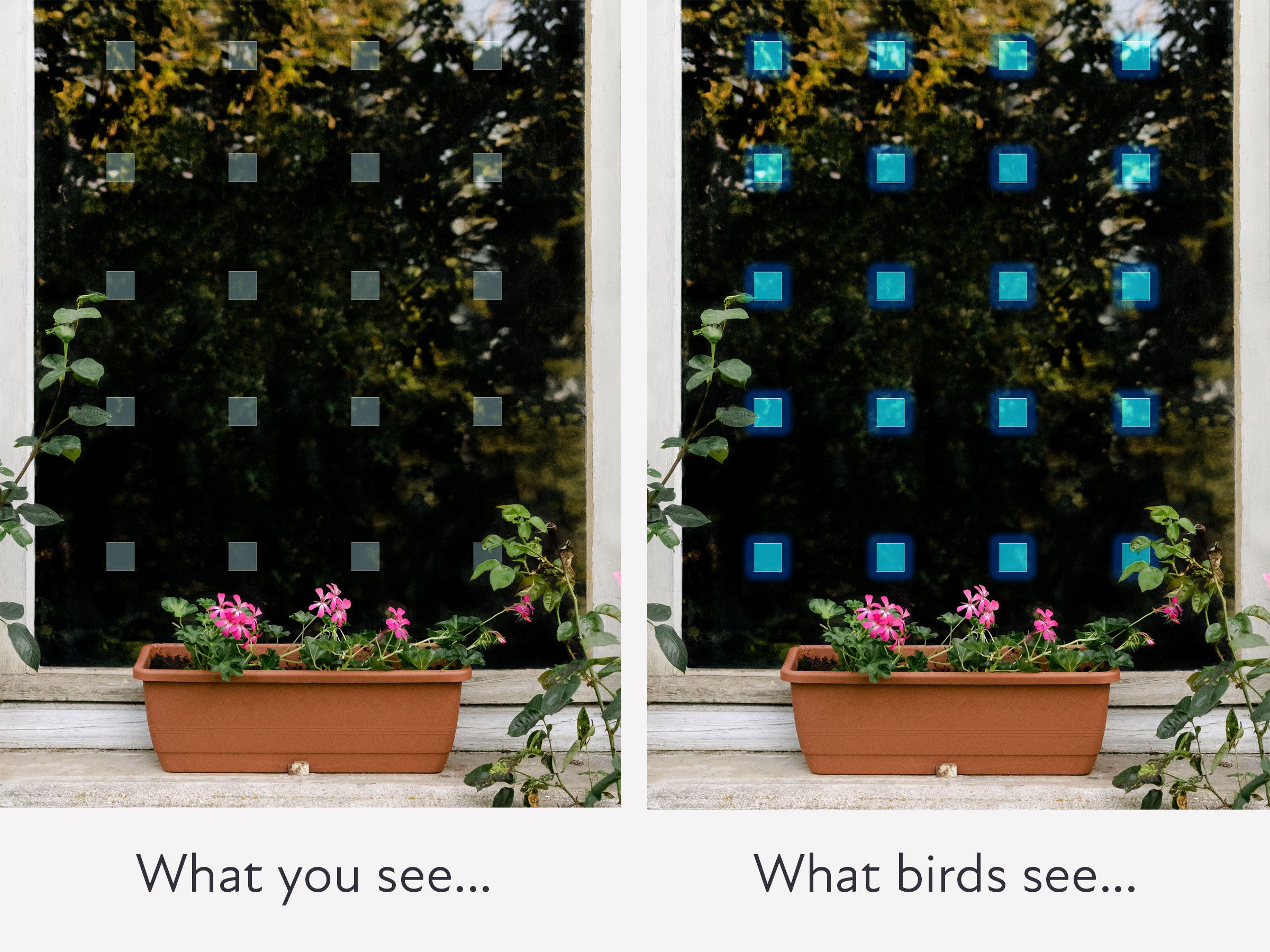 Squares Bird Deflectors