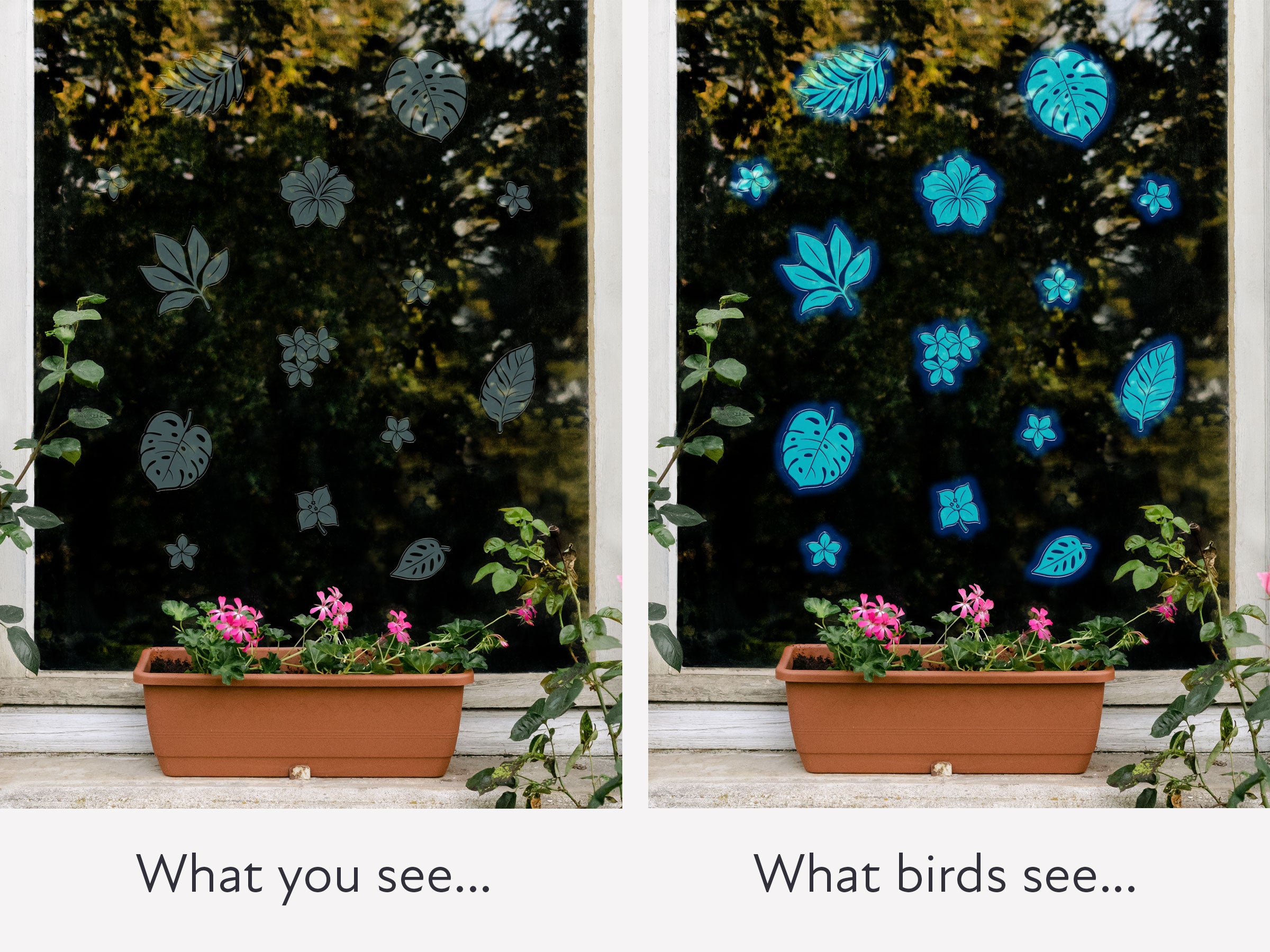 Tropical Bird Deflectors