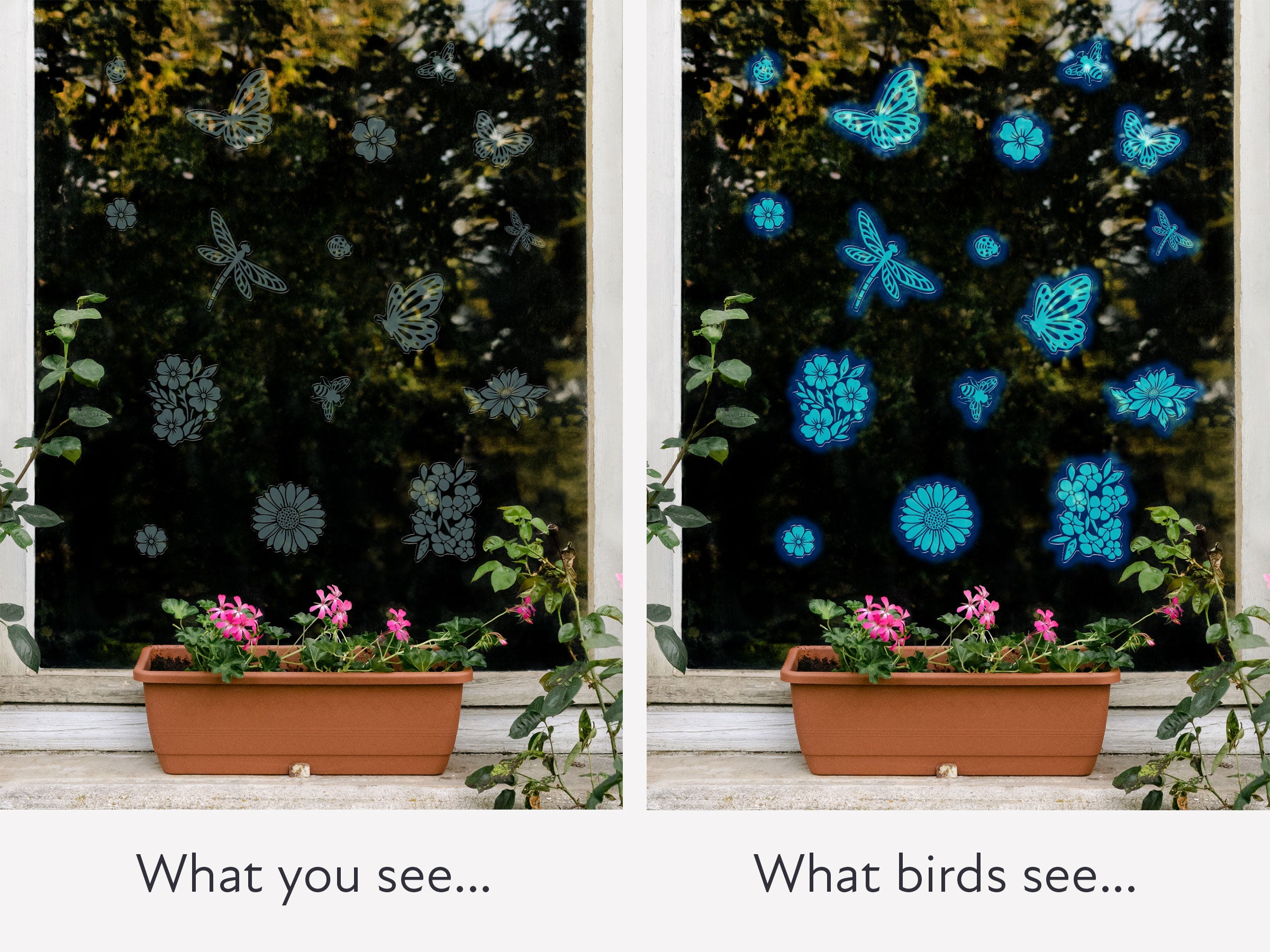 Wings and Blooms Bird Deflectors
