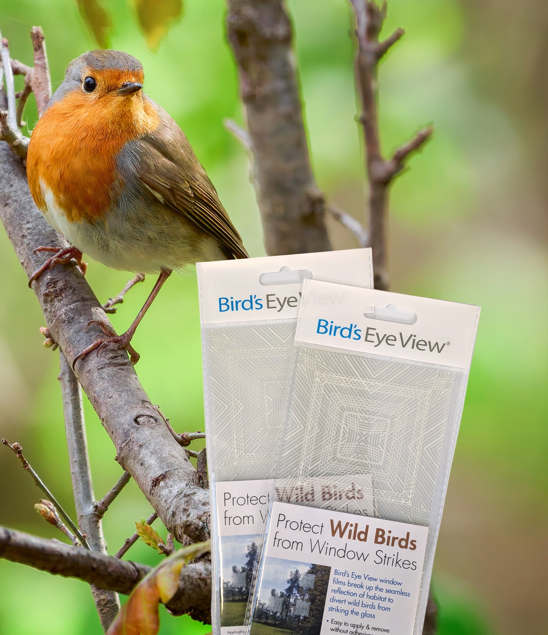 Clear 4" Bird Deflector