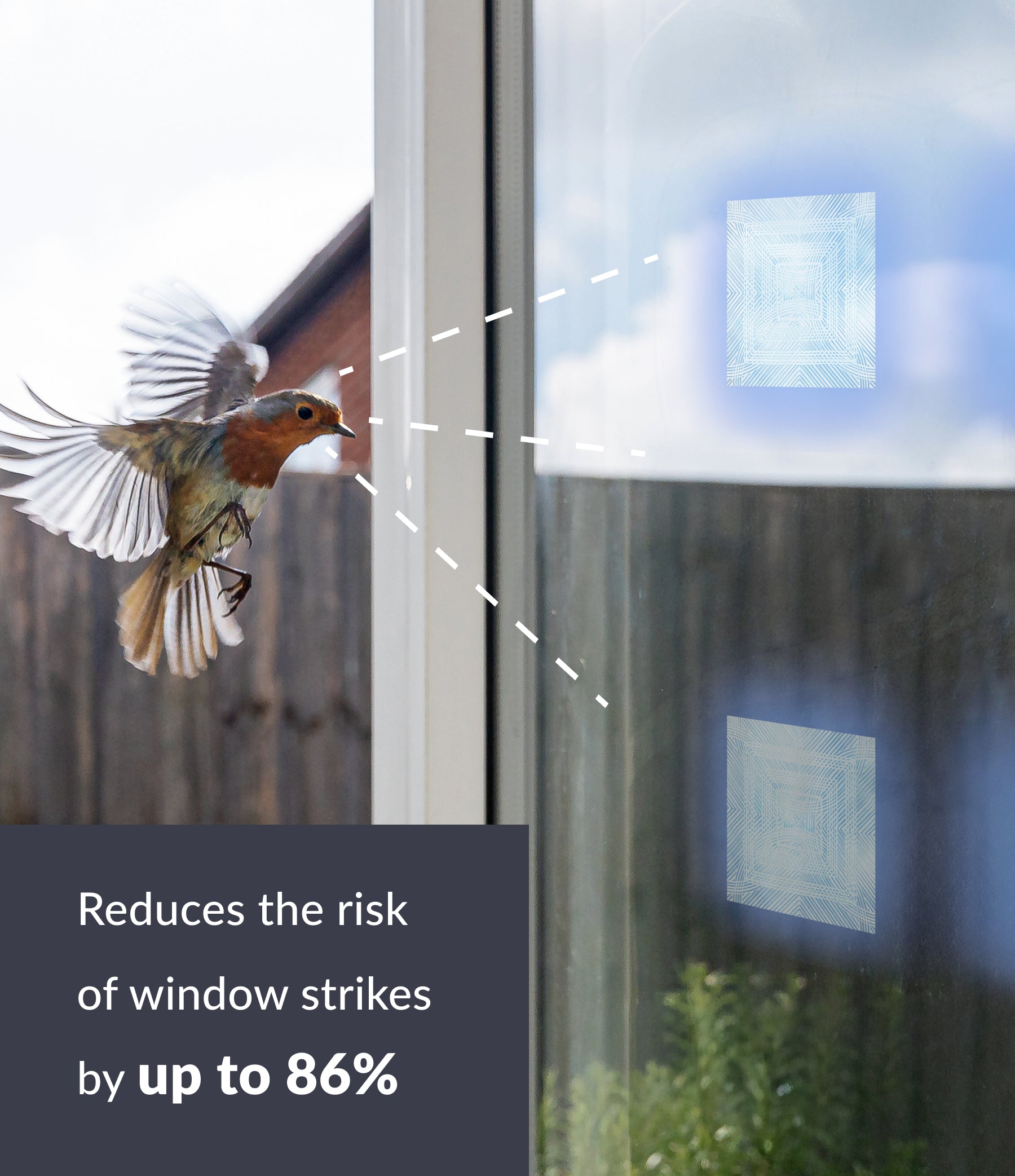 Clear 4" Bird Deflector