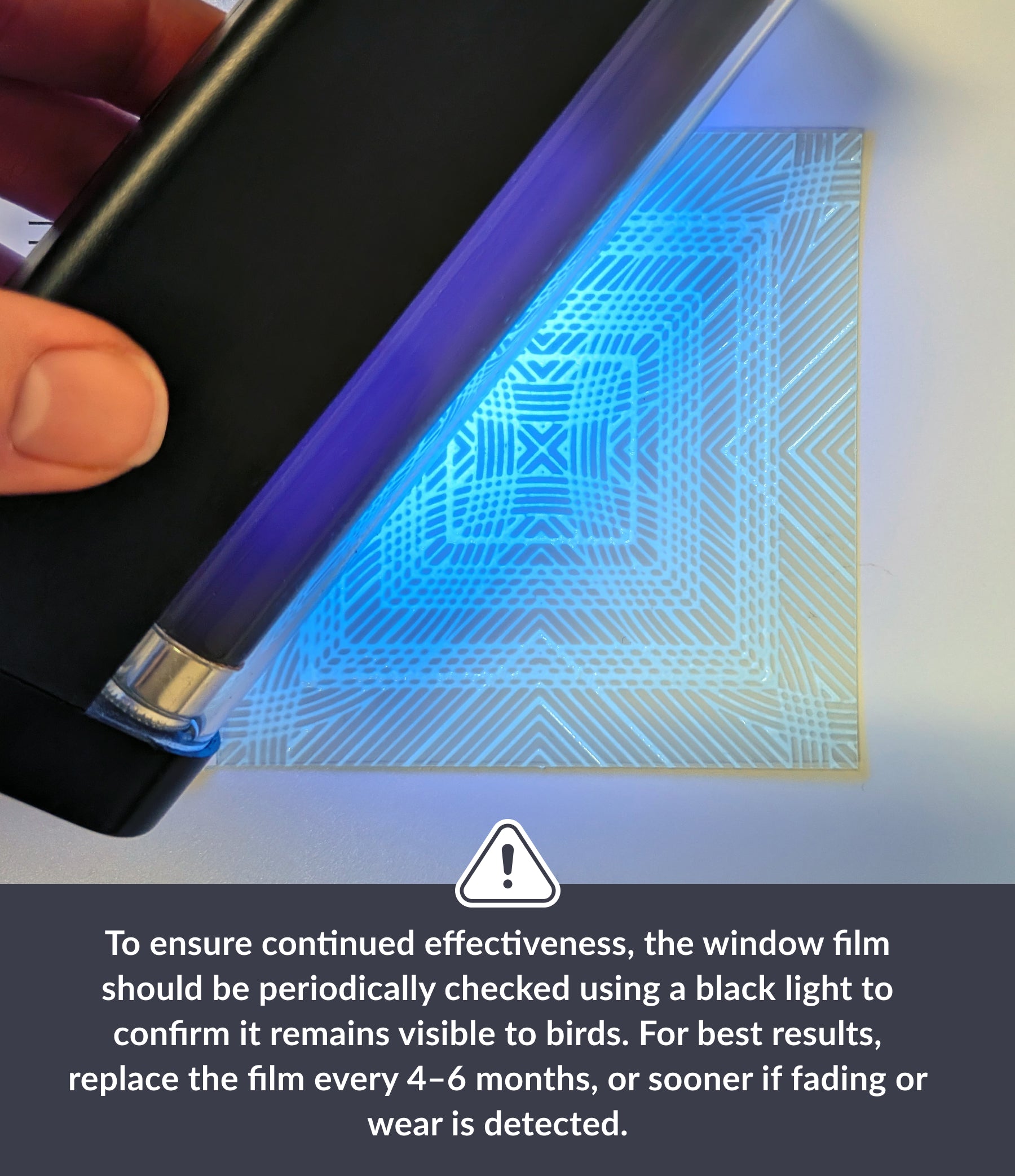 Clear 4" Bird Deflector