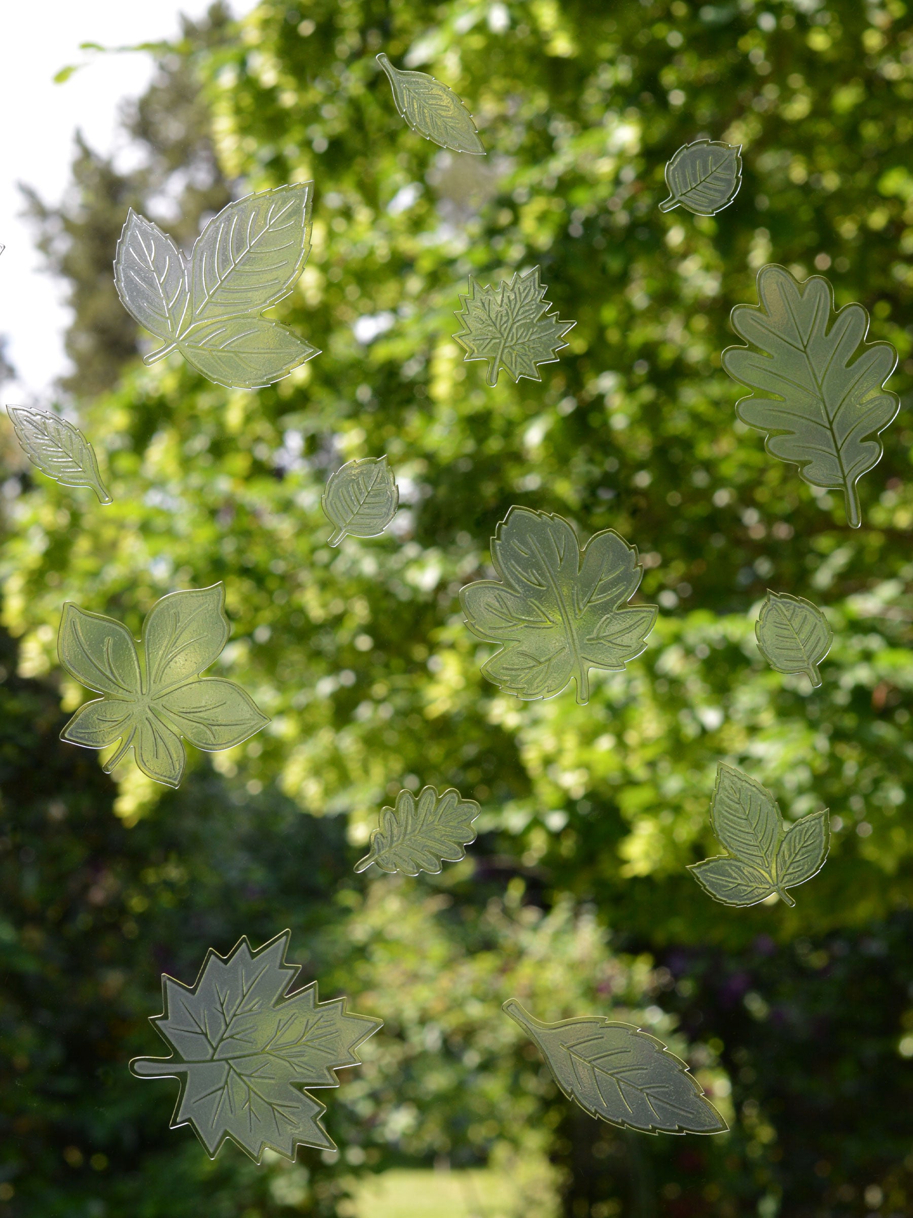 Leaves Bird Deflectors