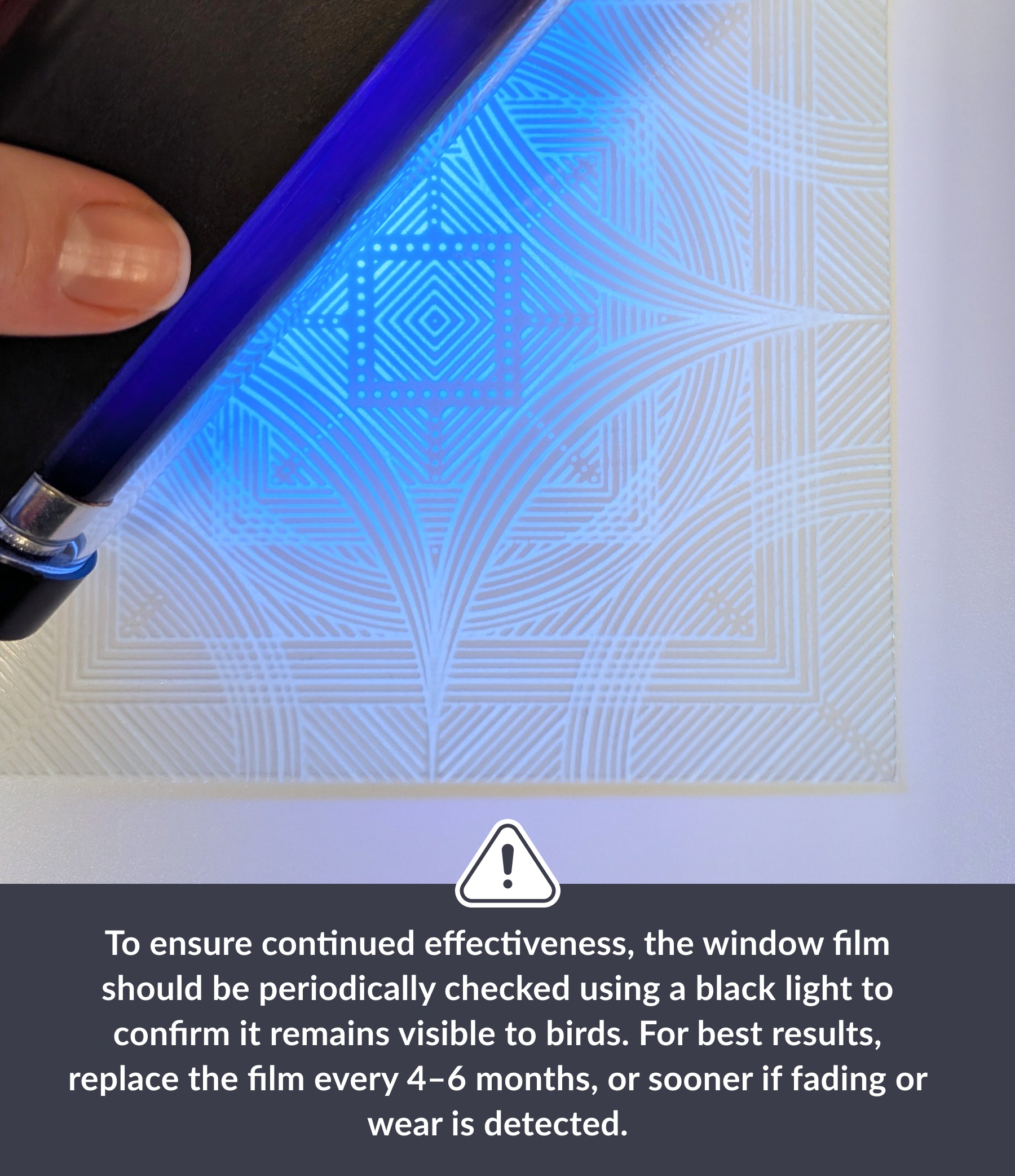 Clear 6" Bird Deflector