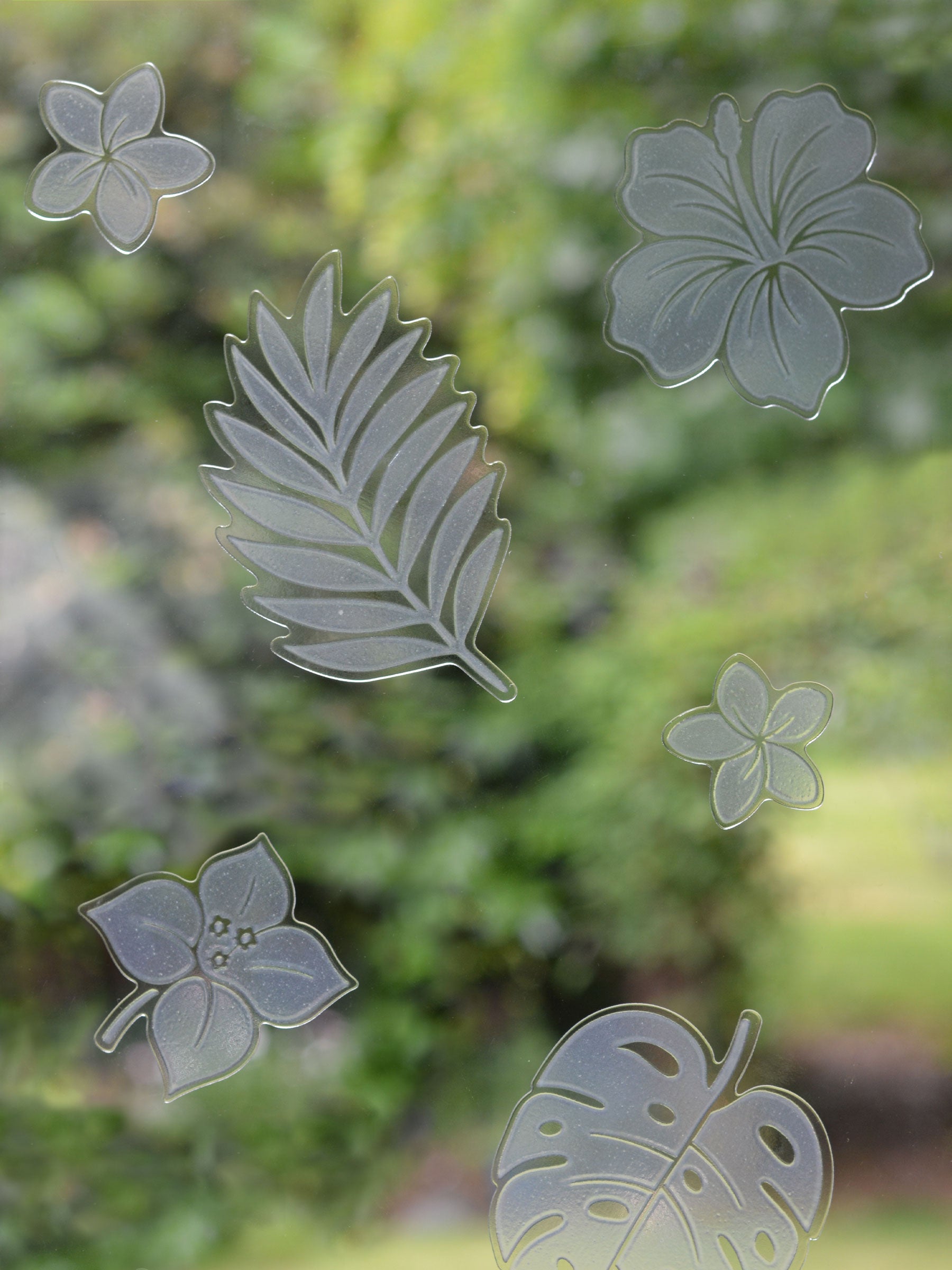 Tropical Bird Deflectors