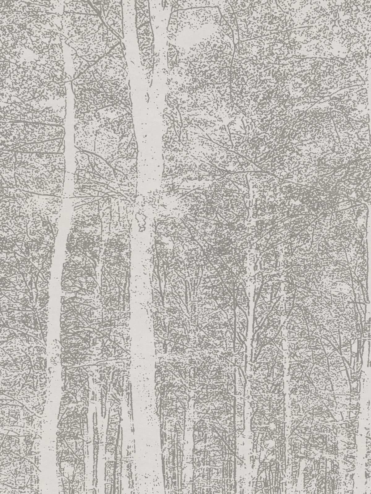 Aspen Woods - Dust