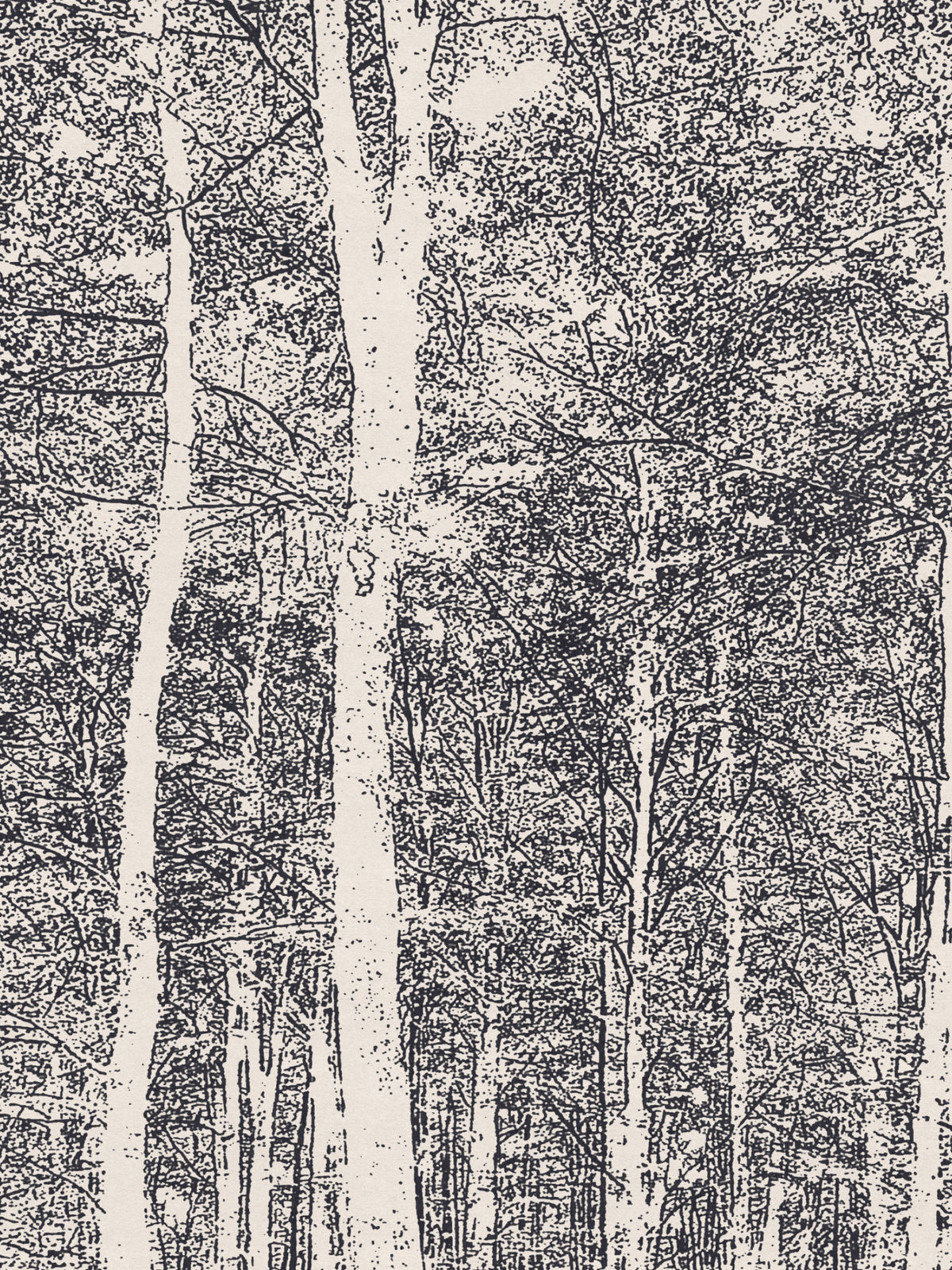 Aspen Woods - Wrought Iron