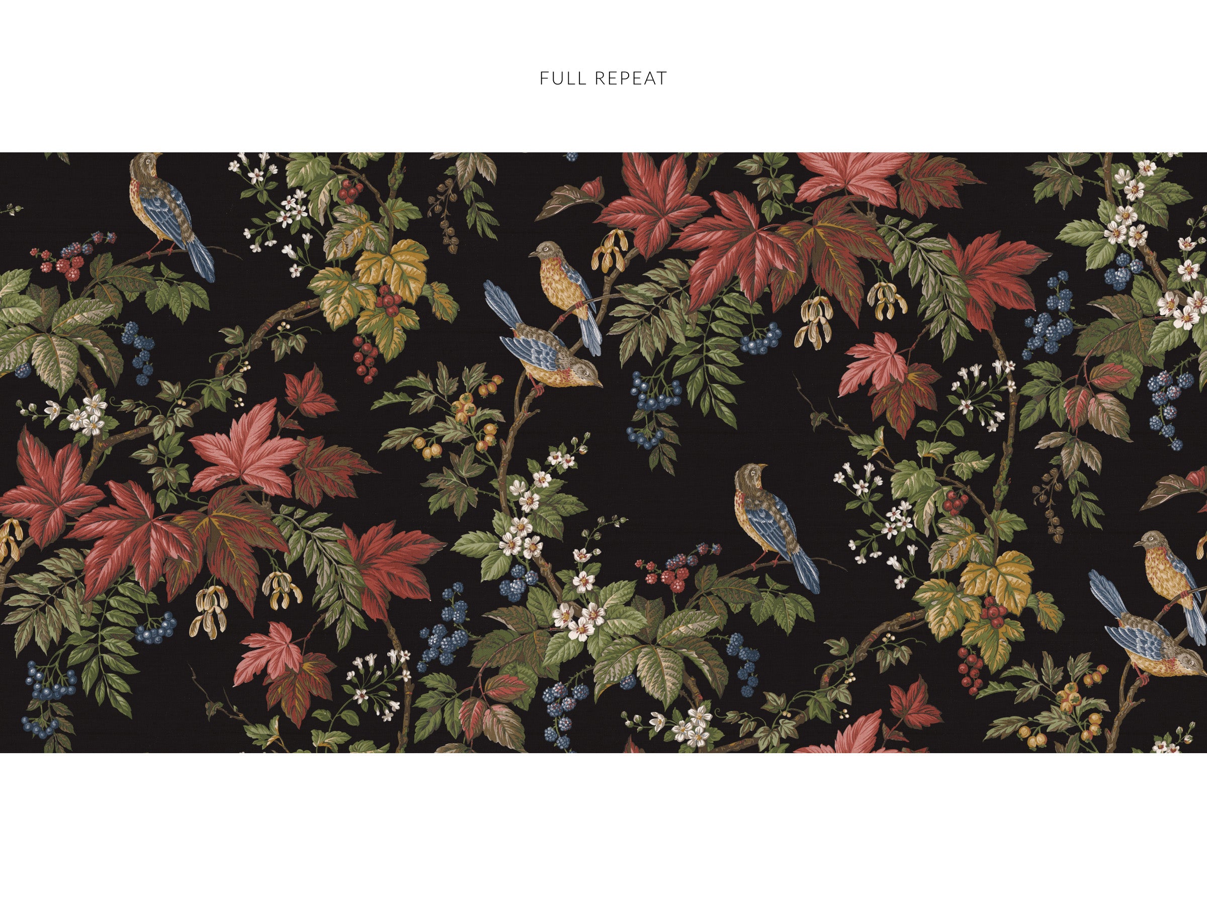 Aviary - Midnight Canopy