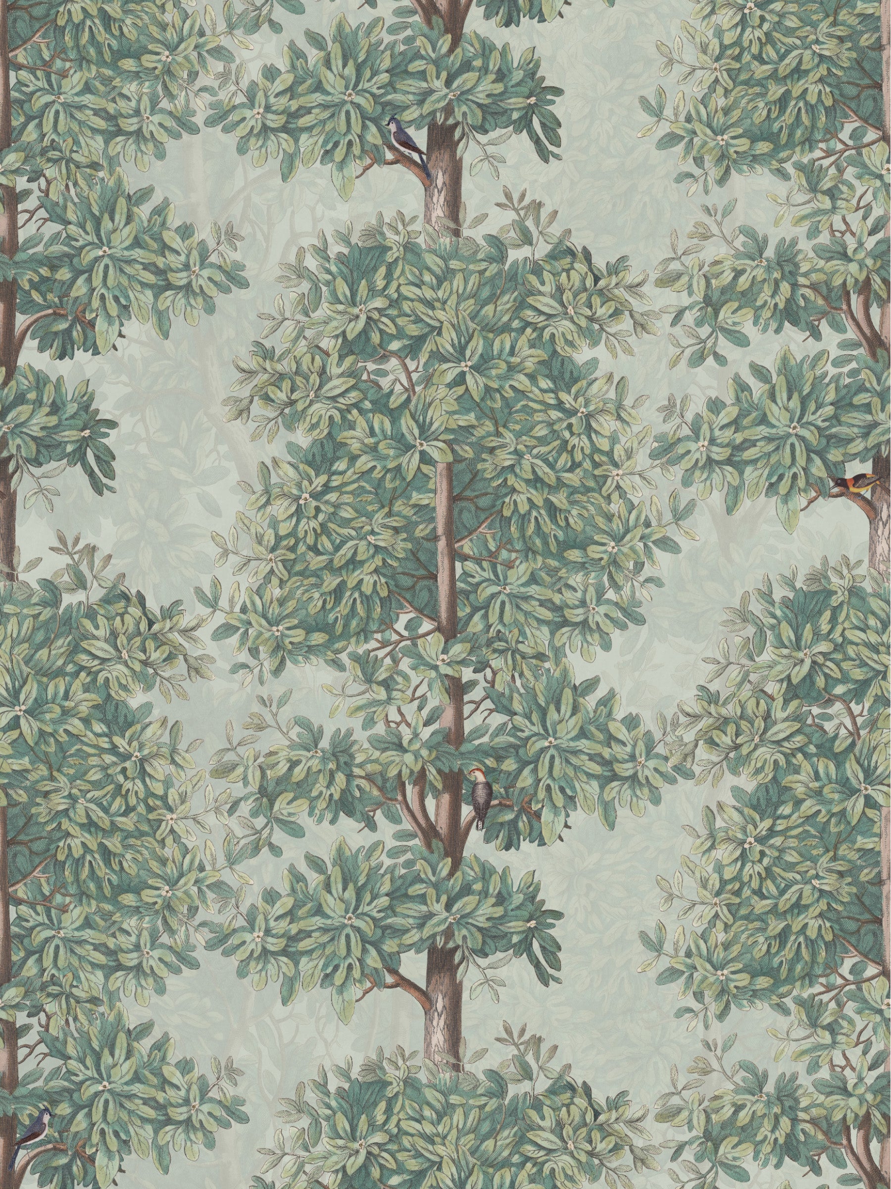 Blossom Season Apple Blossom - North American Birds Sample