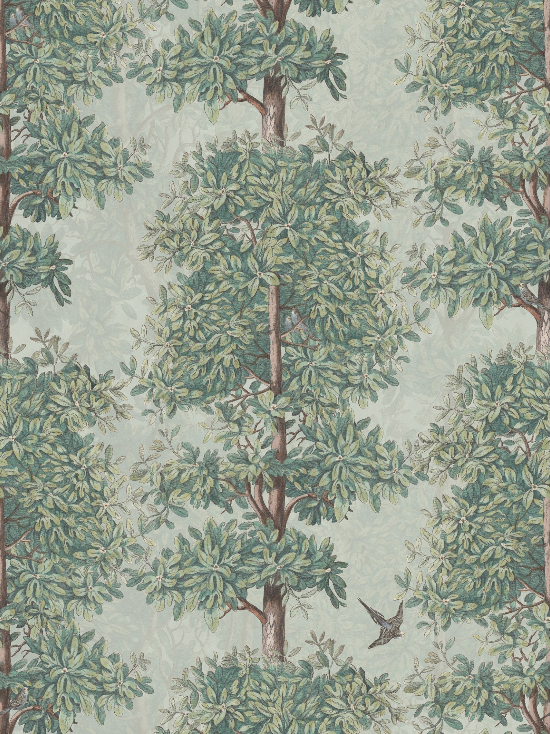 Blossom Season Apple Blossom - Parakeets Sample