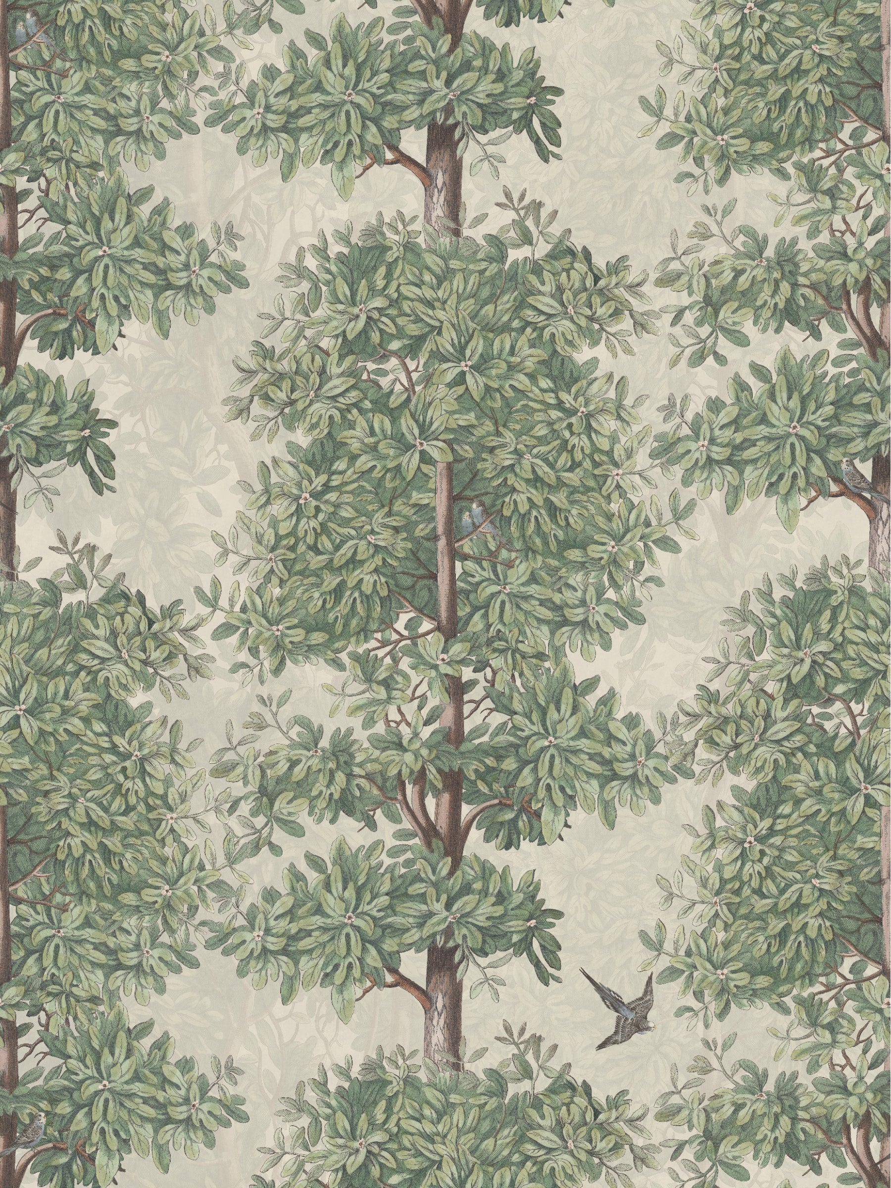 Blossom Season Crab Apple - Parakeets