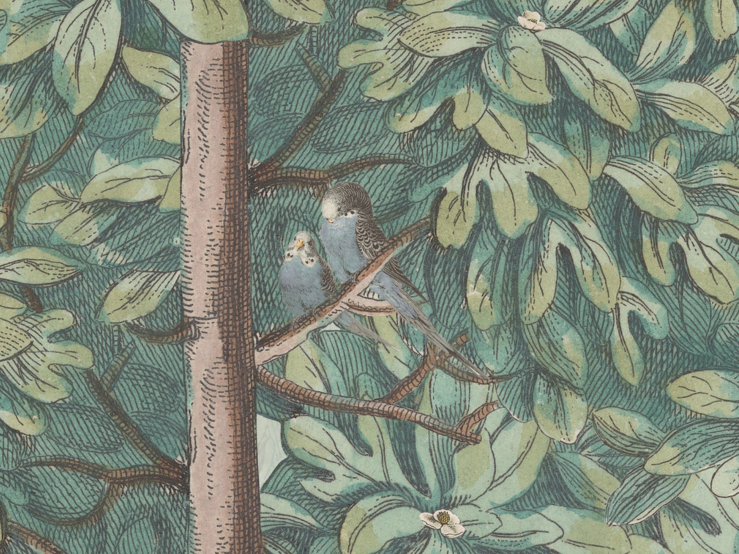 Blossom Season Apple Blossom - Parakeets