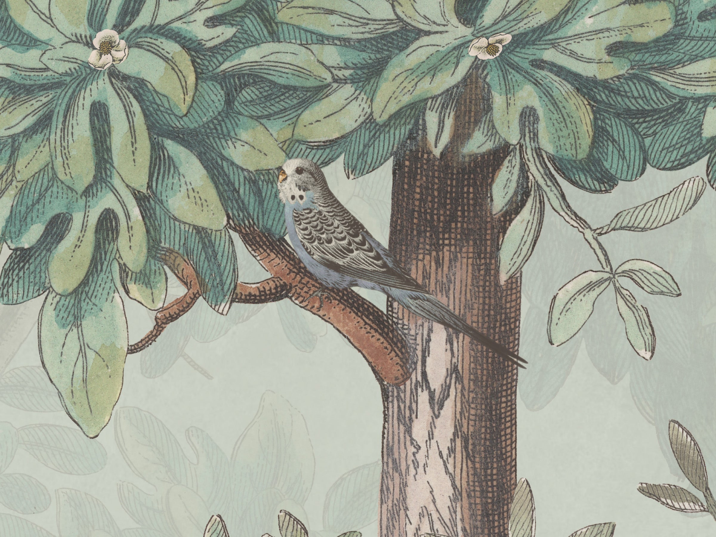Blossom Season Apple Blossom - Parakeets