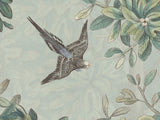 Blossom Season Apple Blossom - Parakeets