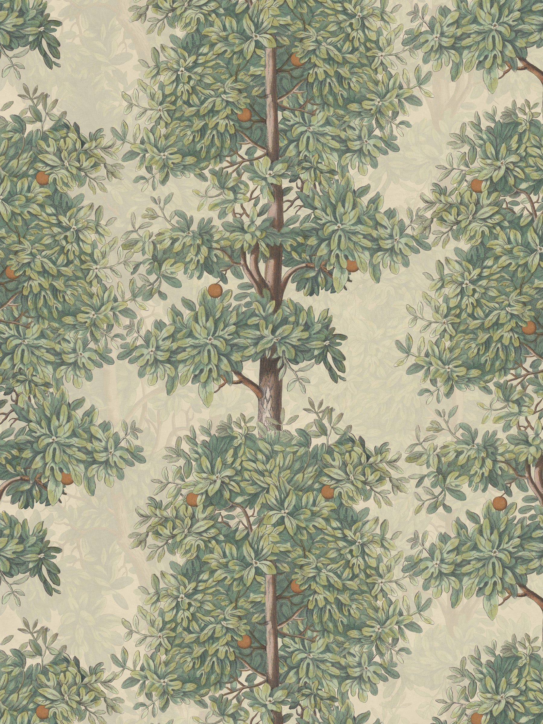 Blossom Season - Mandarin Grove