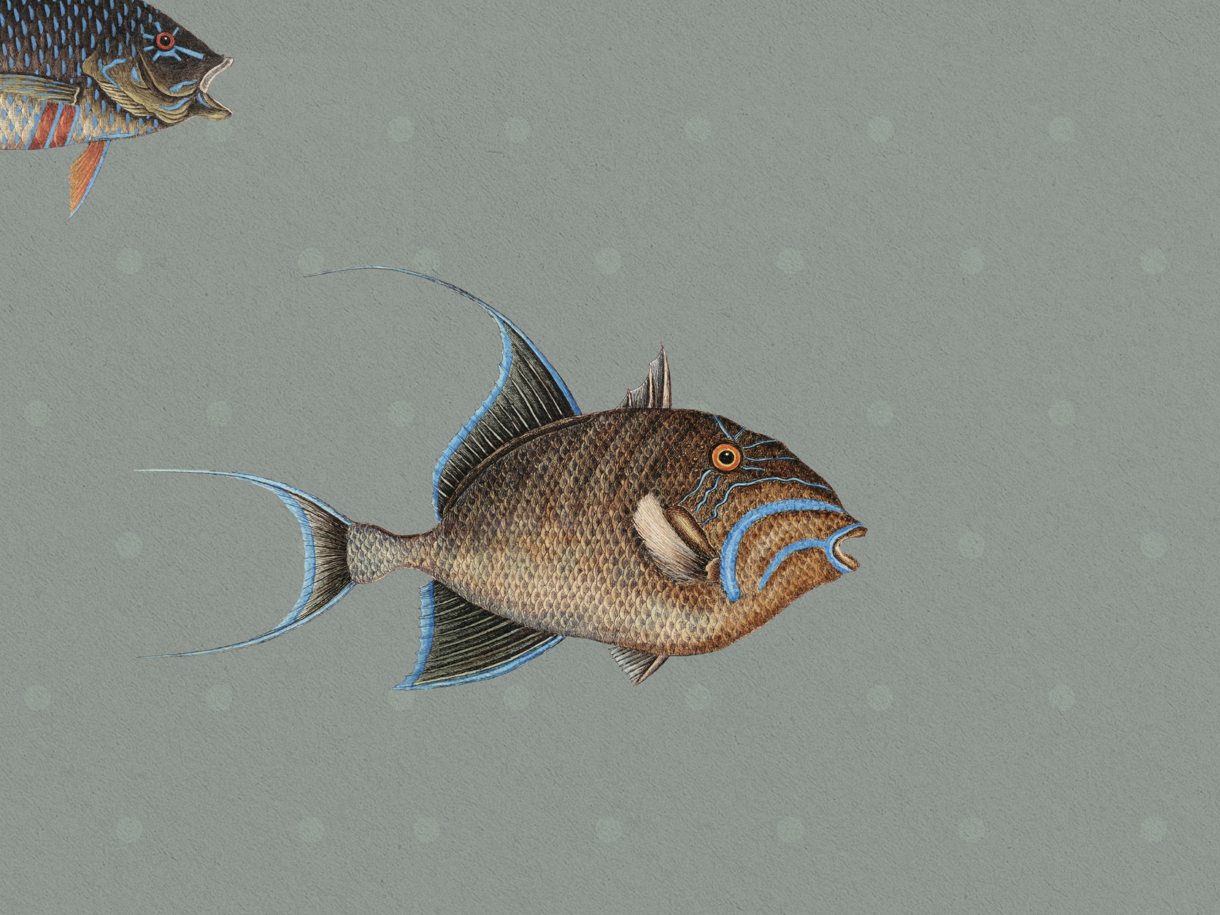 Catch of the Day Lagoon - Polka Dots
