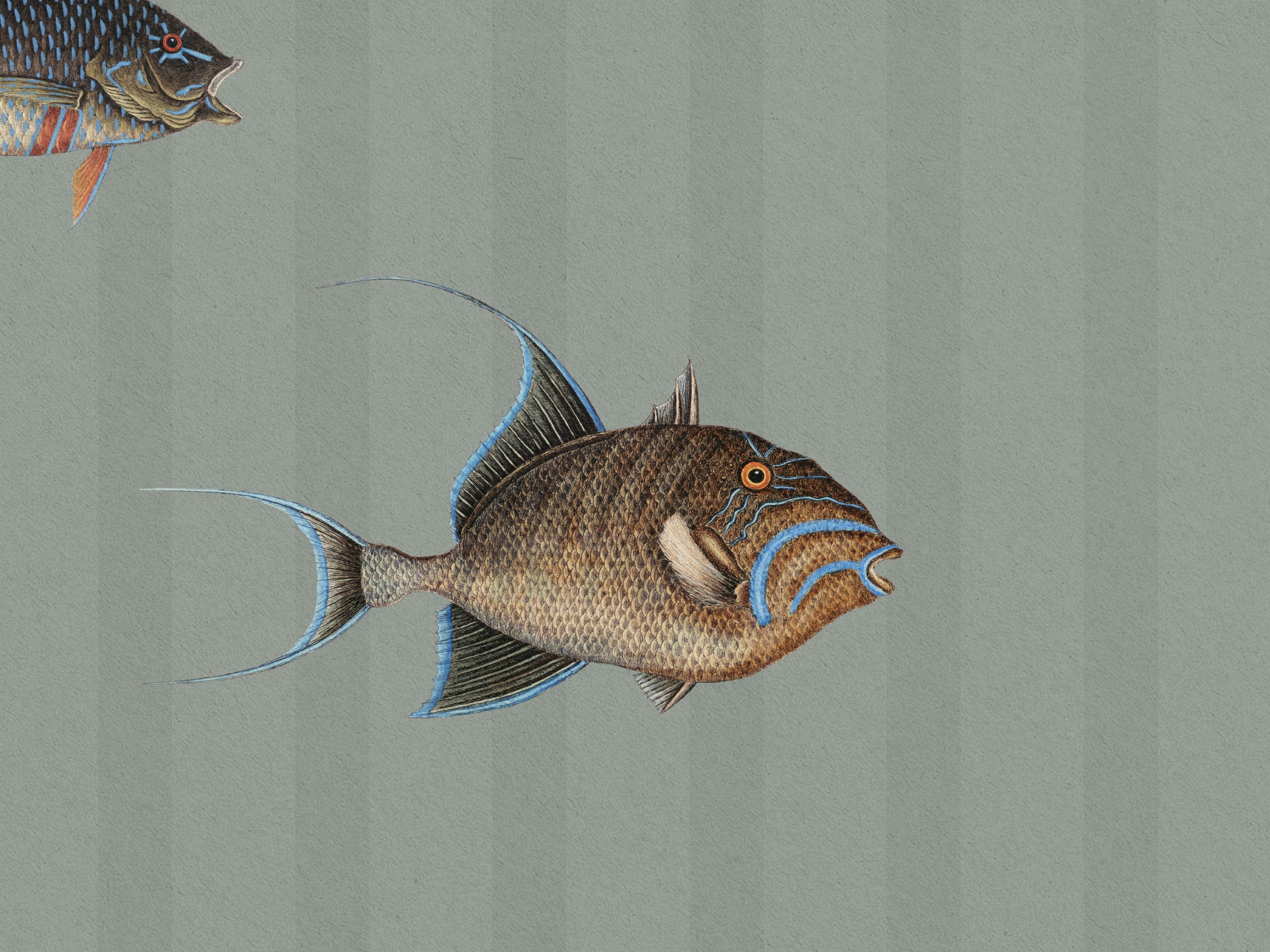 Catch of the Day Lagoon - Stripes