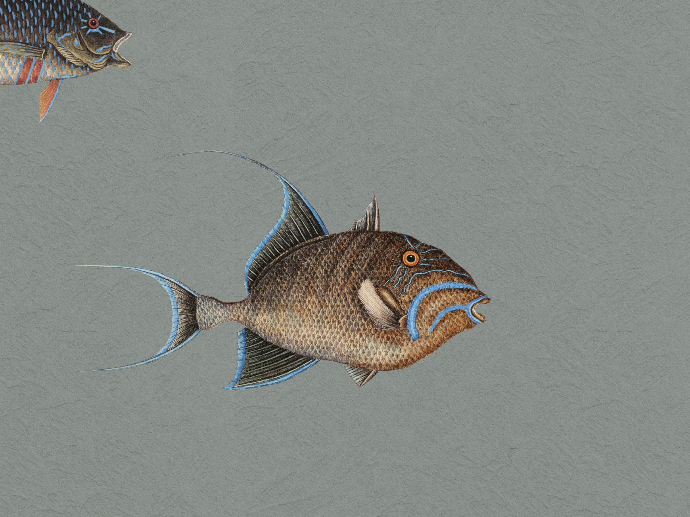 Catch of the Day Lagoon - Texture