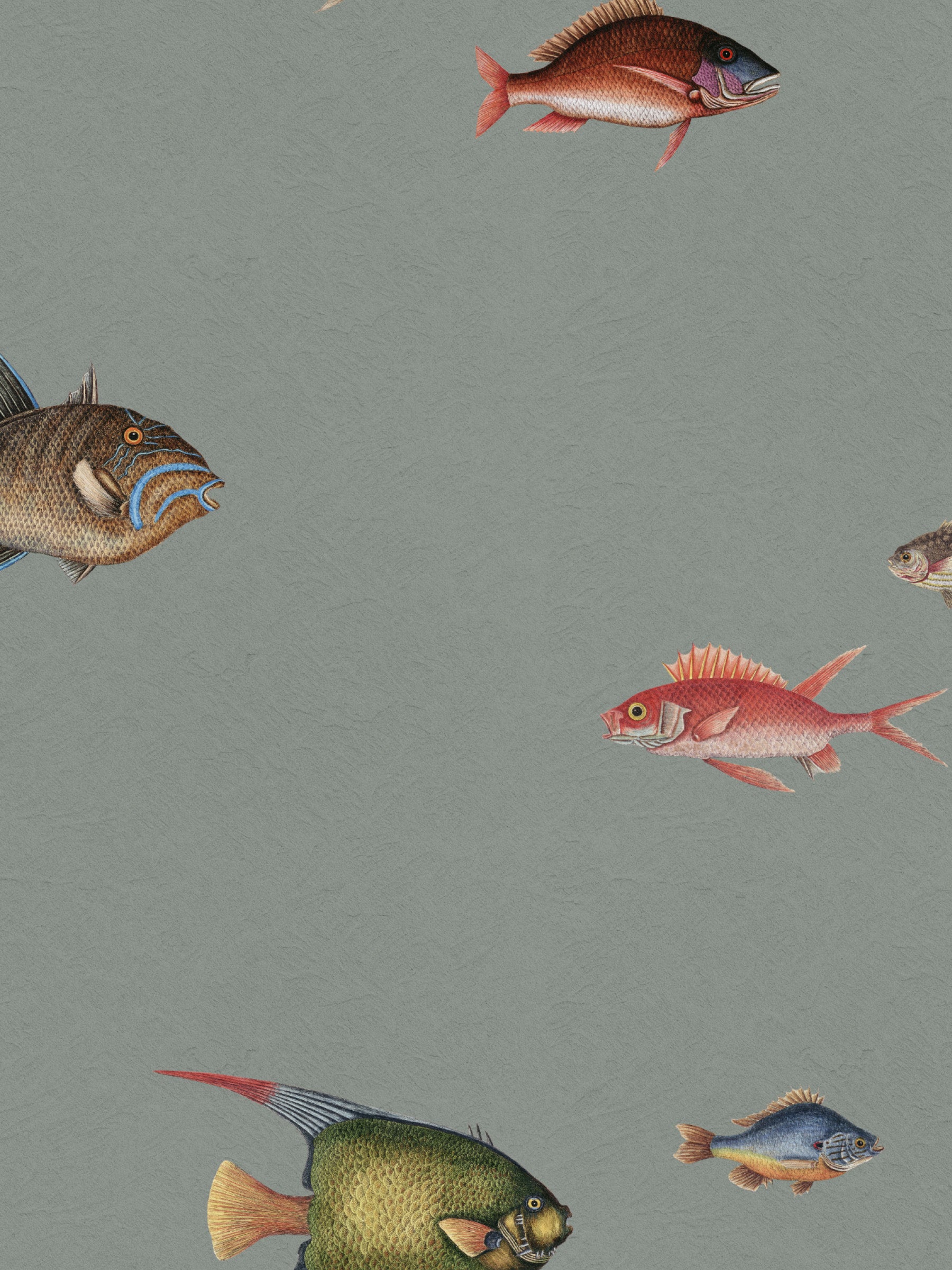 Catch of the Day Lagoon - Texture