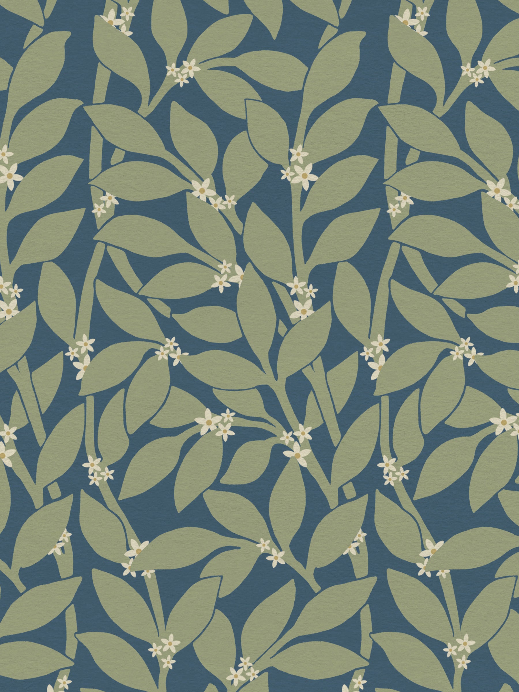 Citrus Grove Navy Sage - White flowers