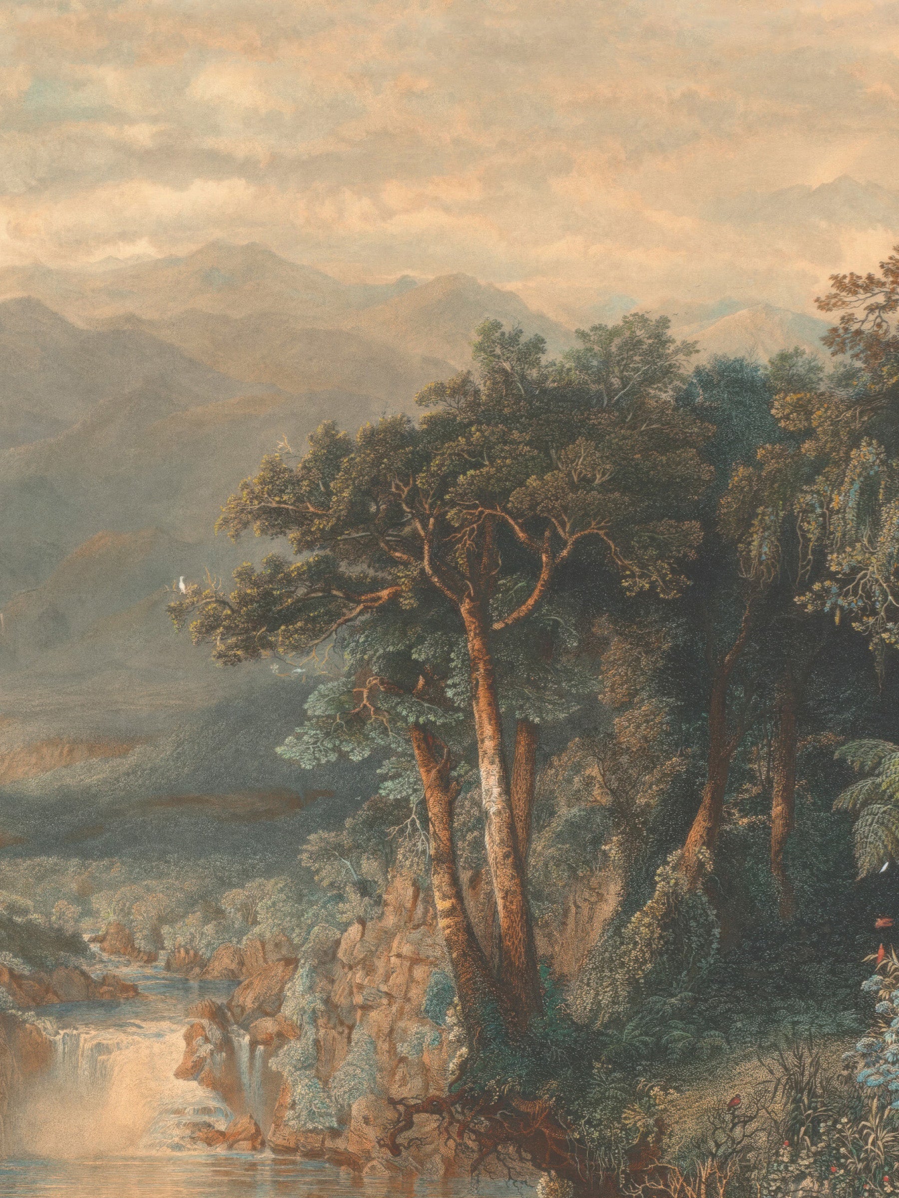 Cordillera - Golden Dusk