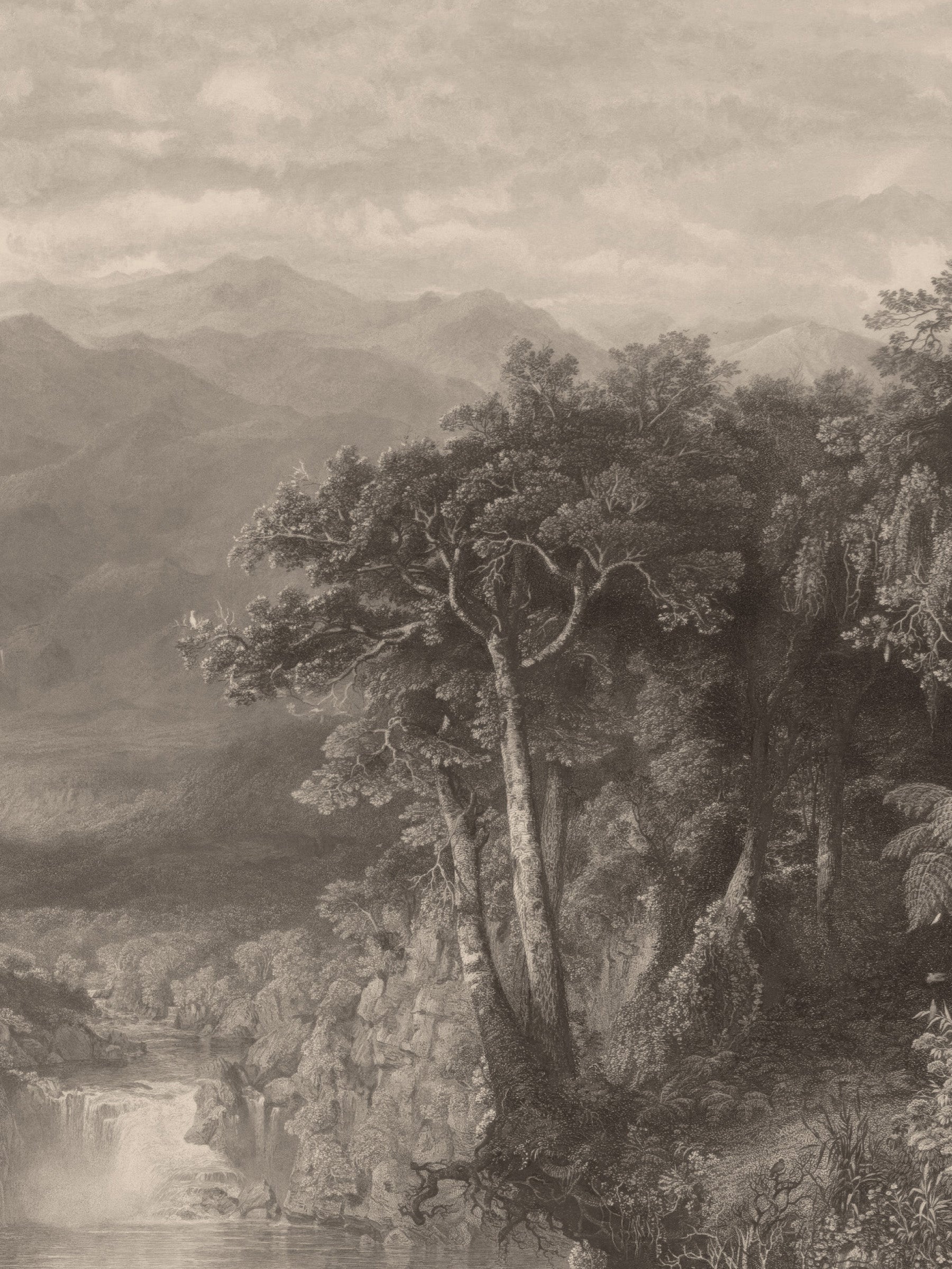 Cordillera - Soft Umber