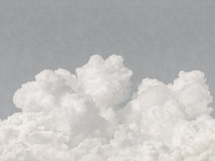 Daybreak Clouds - Silver Sky